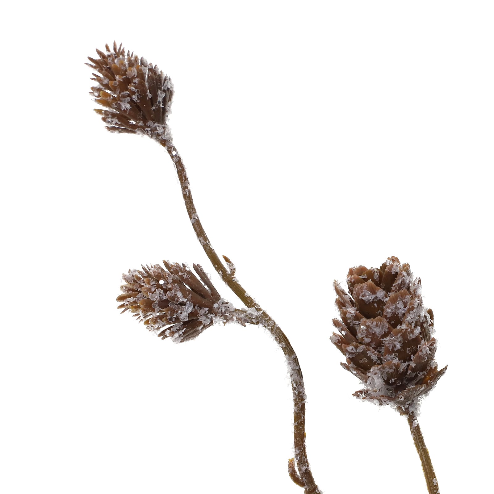 35.5&#x22; Mini Snowy Pinecone Stem by Ashland&#xAE;