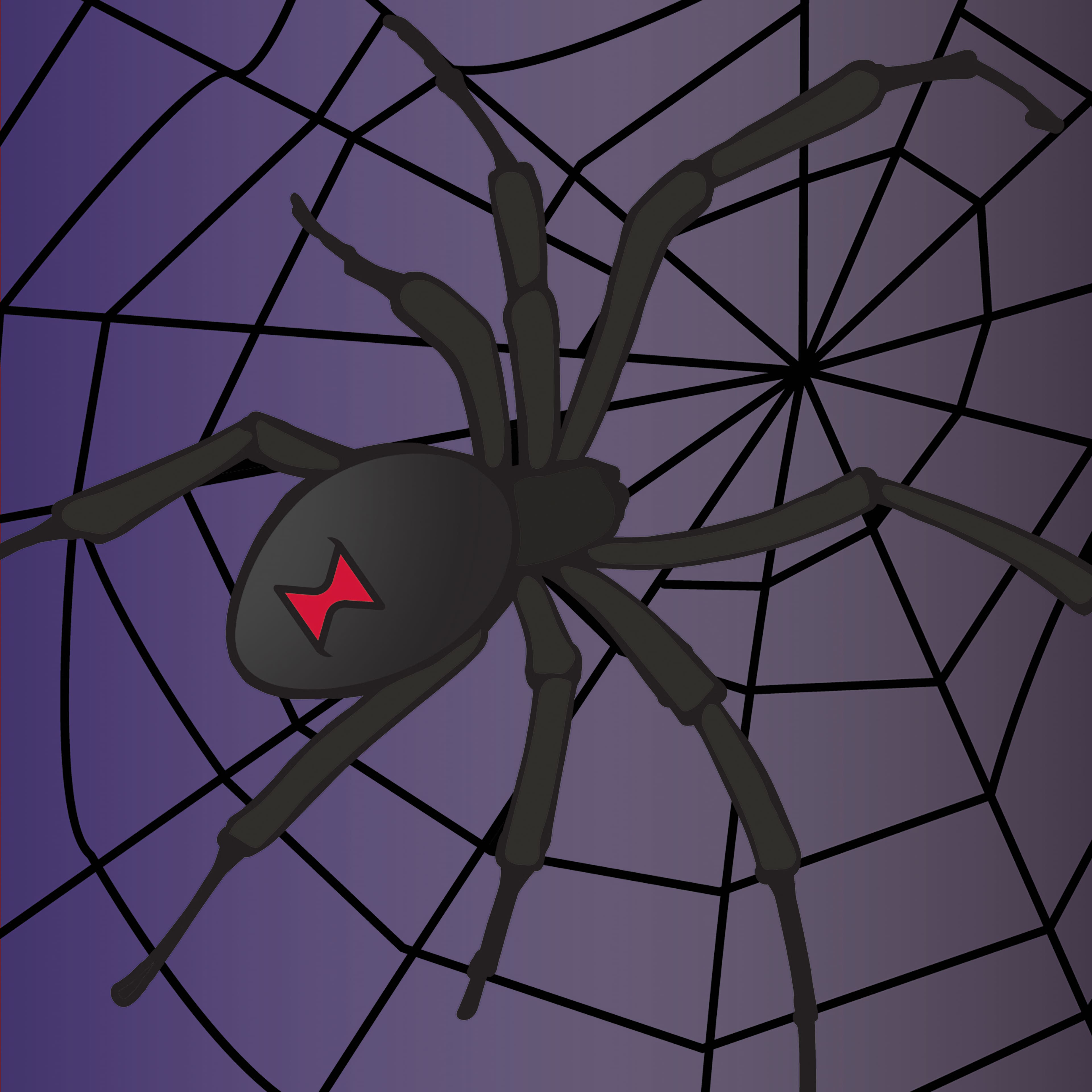 5&#x22; x 5&#x22; Spider in Web Canvas Painting Kit by Craft Smart&#xAE;