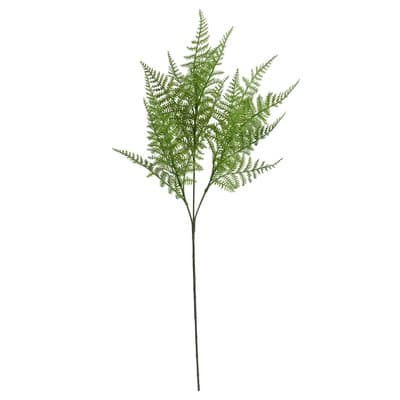 28" Green Rabbit Fern Stem by Ashland®
