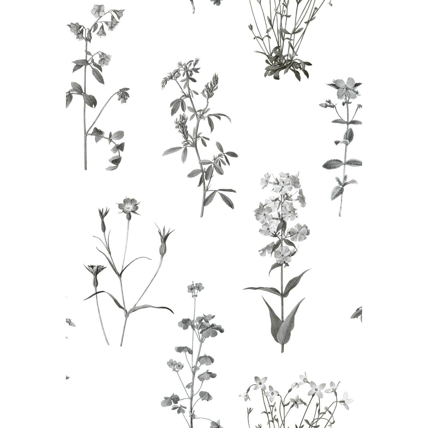 RoomMates Botanical Print Peel &#x26; Stick Wallpaper