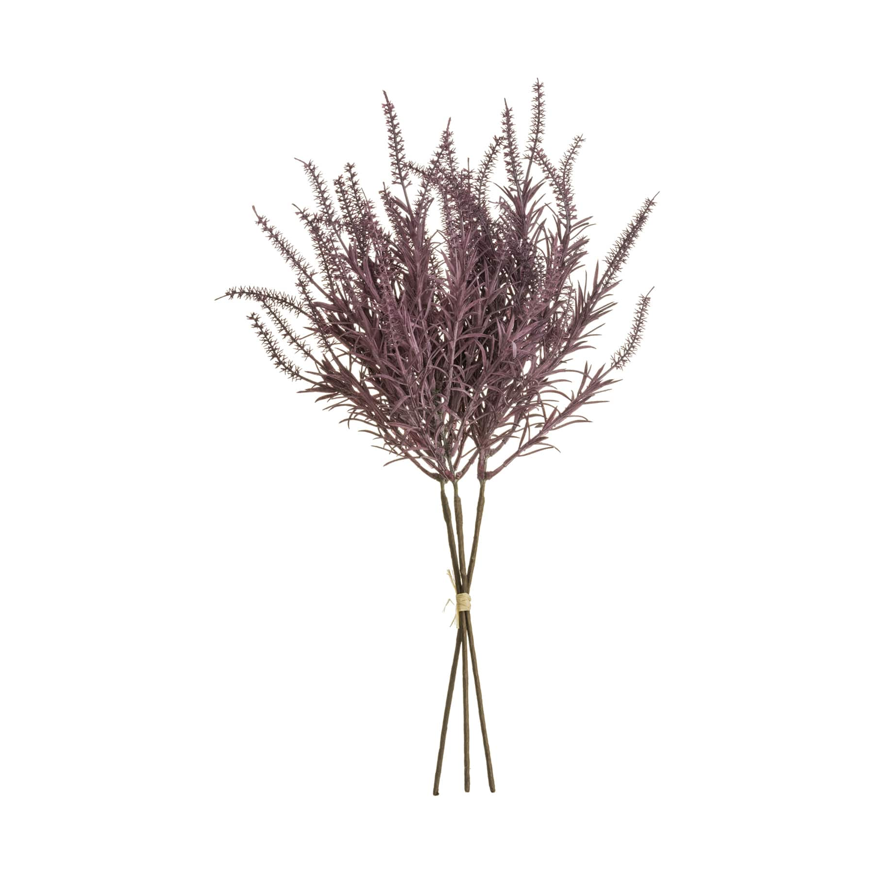 Lavender Astilbe Bundle