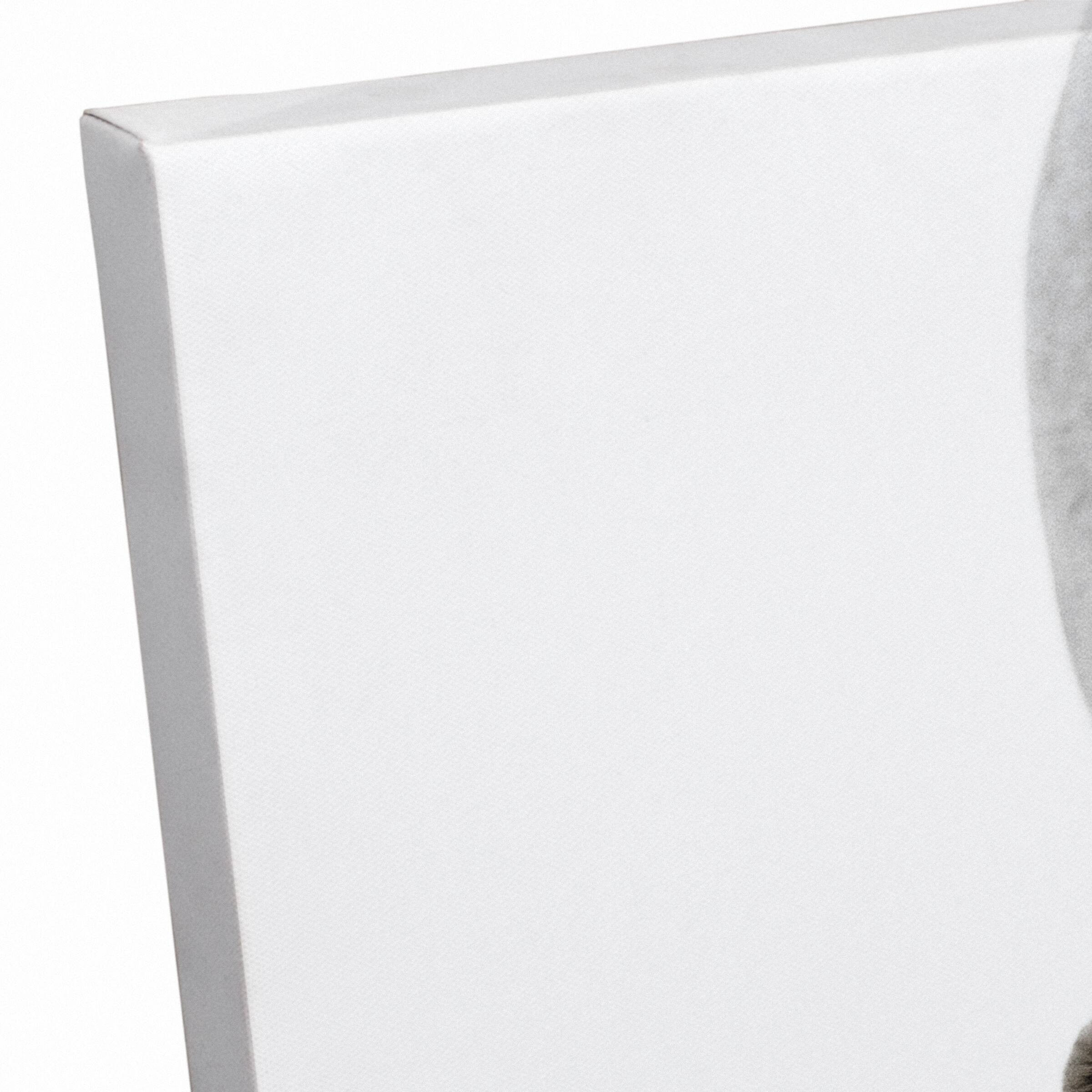 Grazing White Horse 16" x 20" Canvas Wall Art