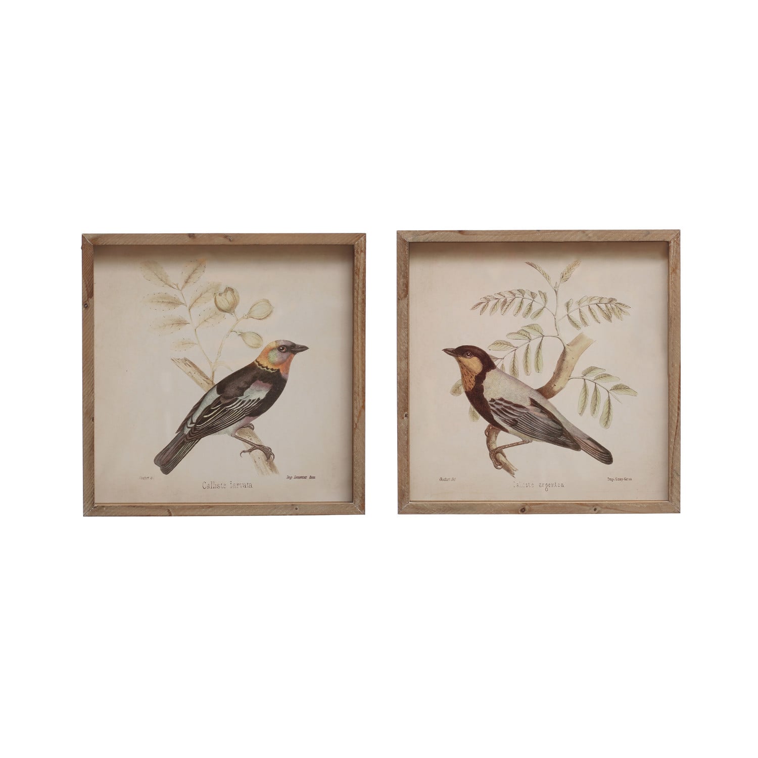 Hello Honey&#xAE; Bird Design Square Wood Framed Wall D&#xE9;cor Set