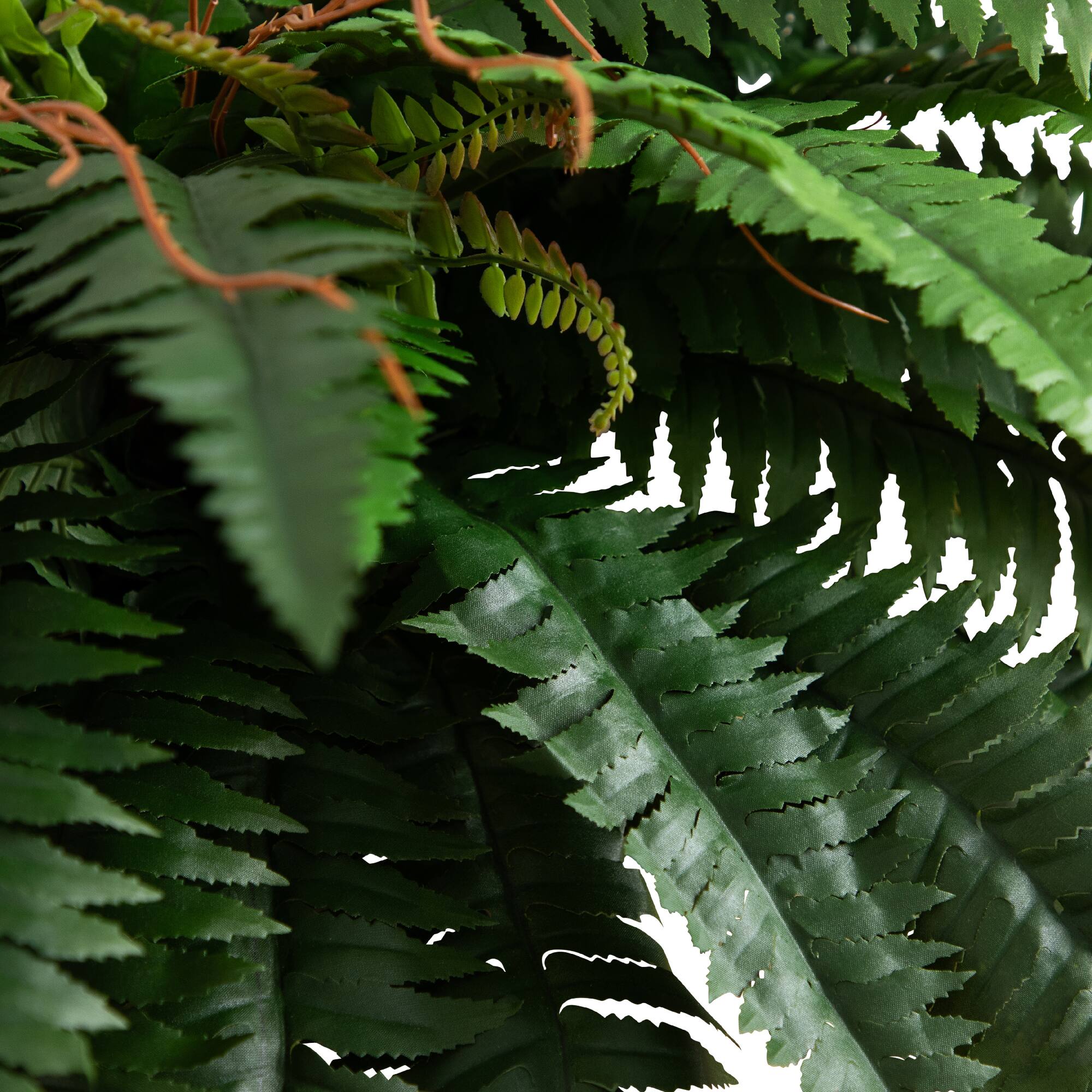 2.5ft. Boston Fern in Patina Metal Planter with Stand