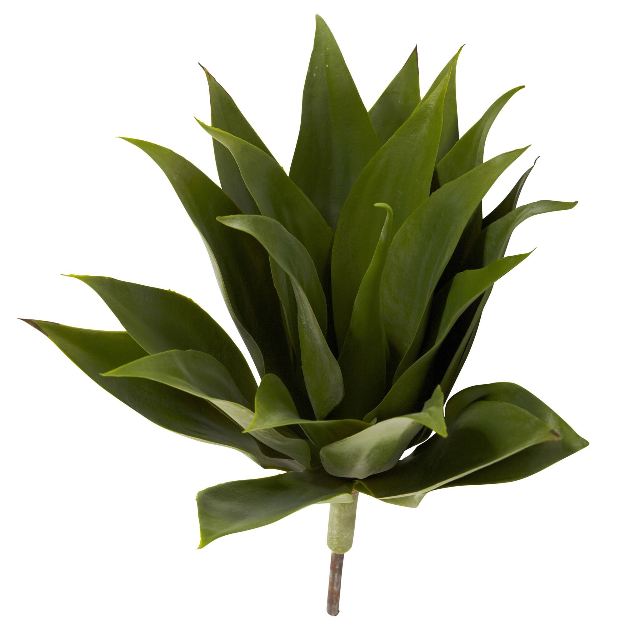 Agave Plant Spikes, 2ct. | Floral Picks | Michaels