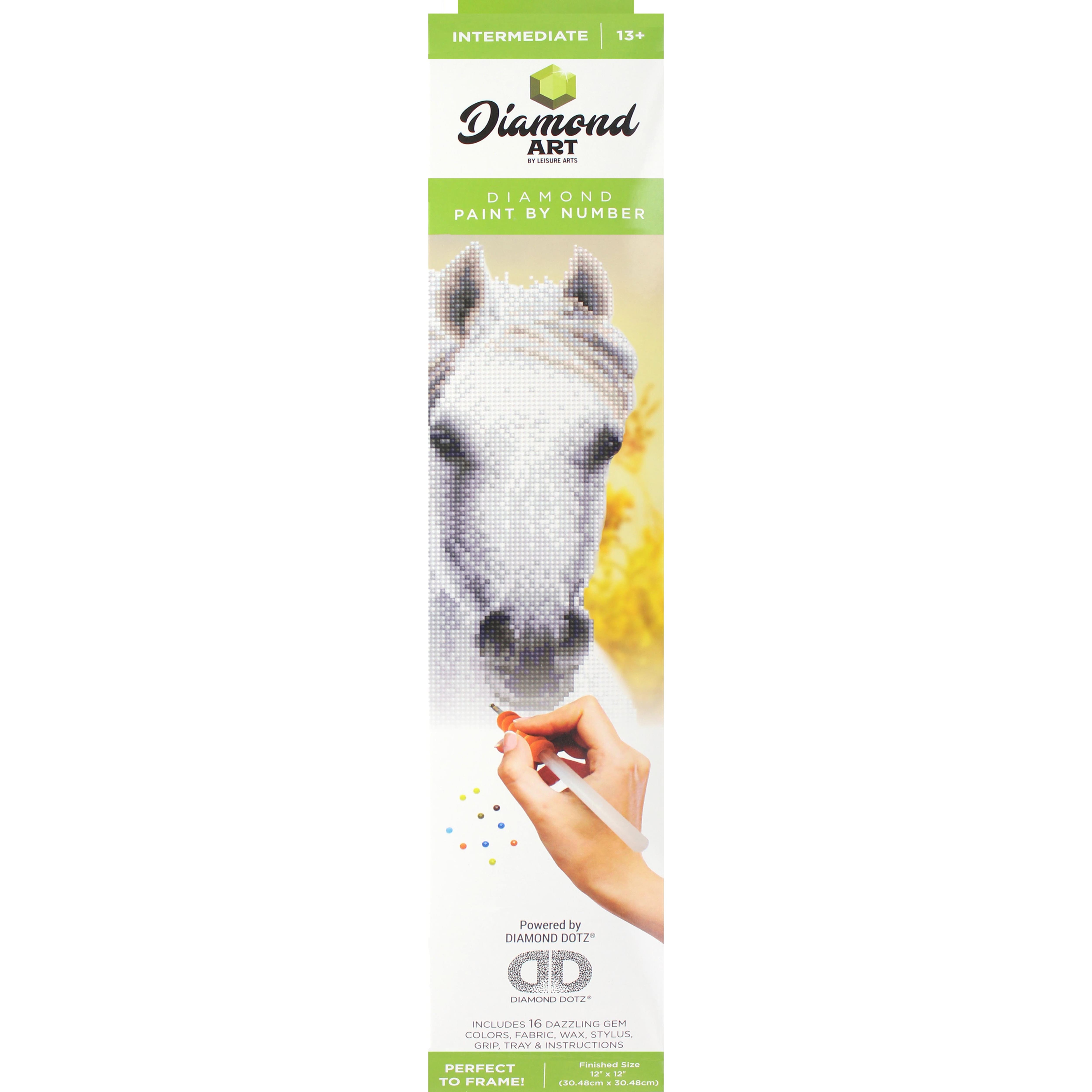 Diamond Art Intermediate White Horse Kit