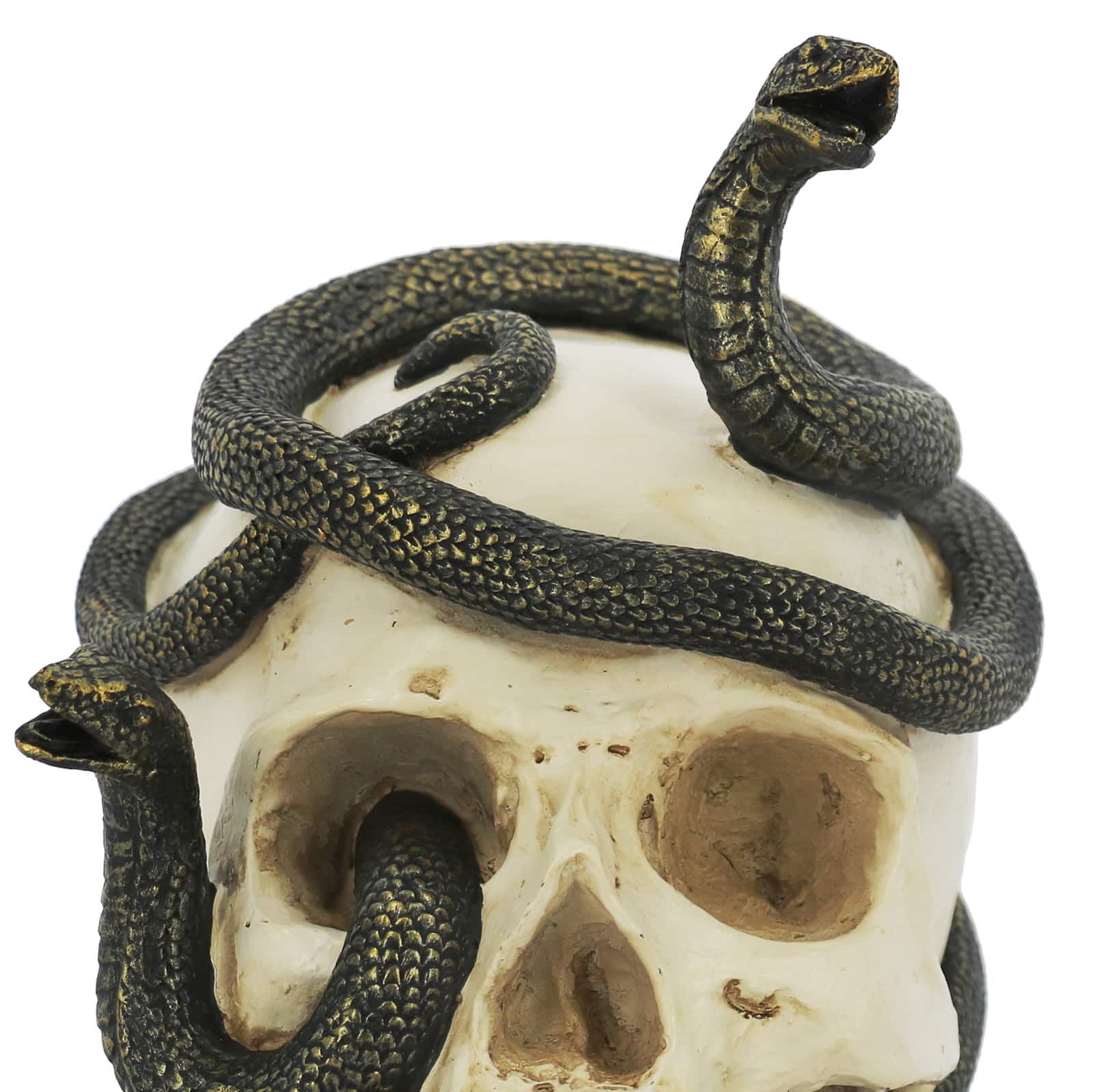 7.25&#x22; Snake-Entwined Skull Tabletop D&#xE9;cor by Ashland&#xAE;