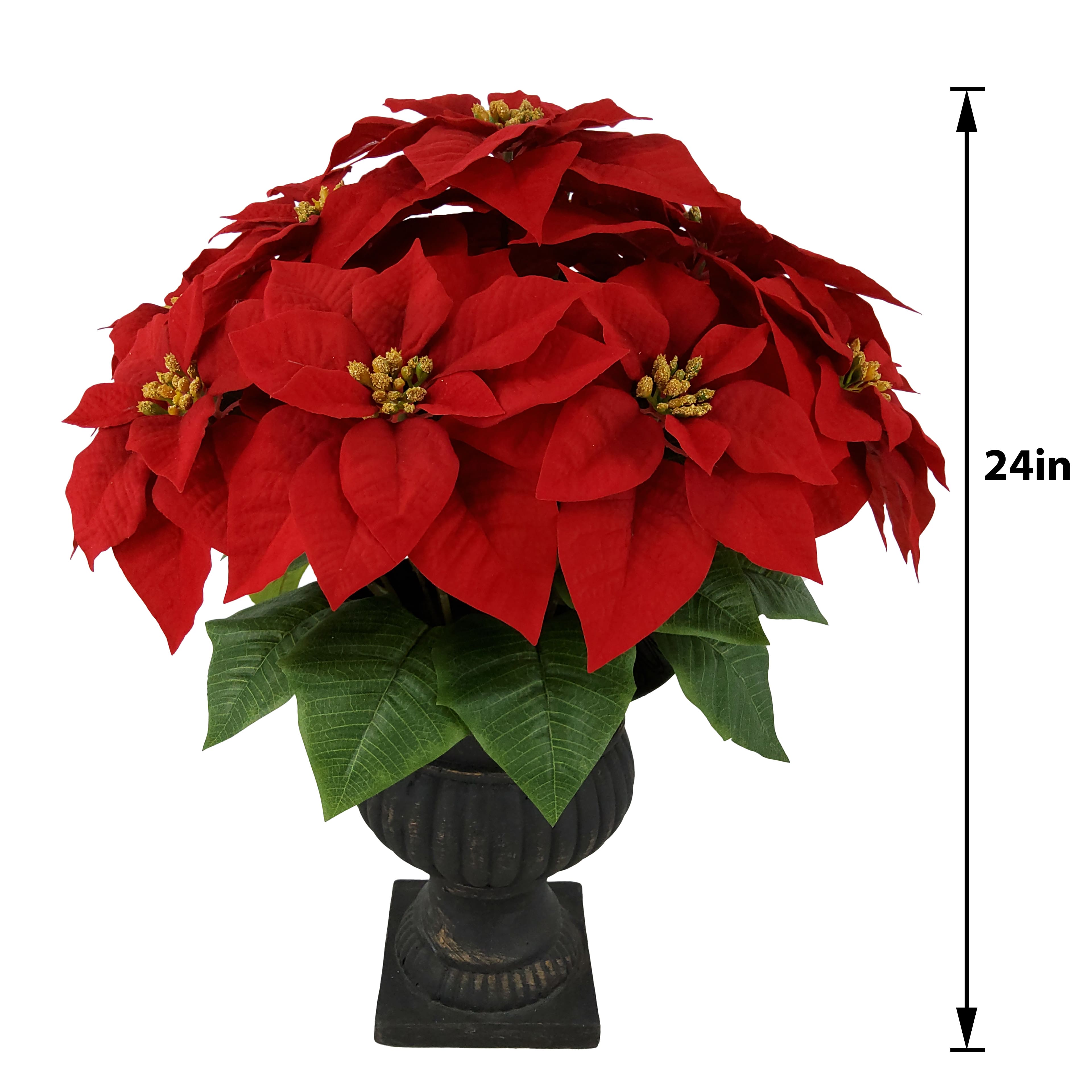 24&#x22; Bright Red Poinsettia in Black Urn by Ashland&#xAE;