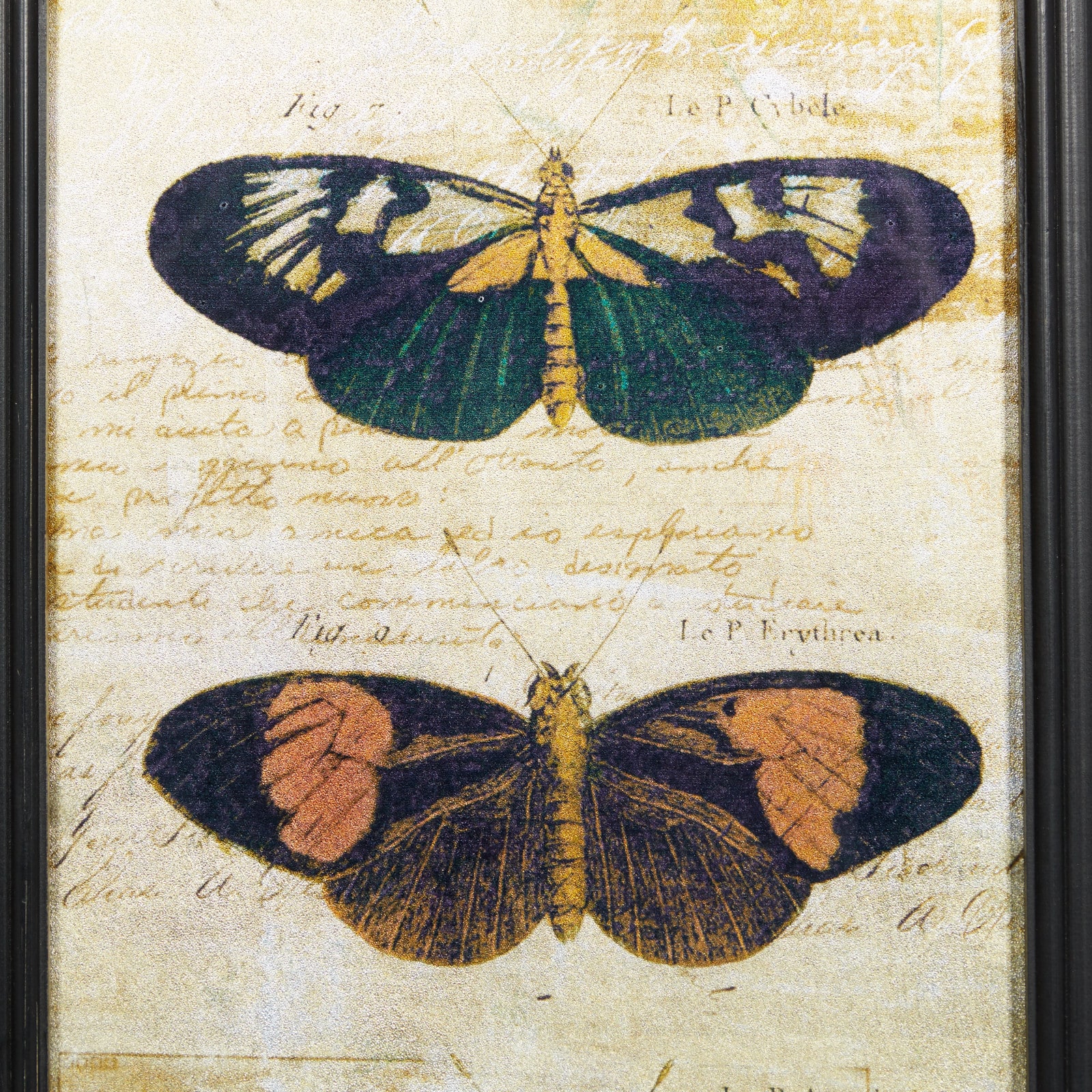 Set of 2 Multi Colored Metal Vintage Butterfly Wall Art, 11" x 36"