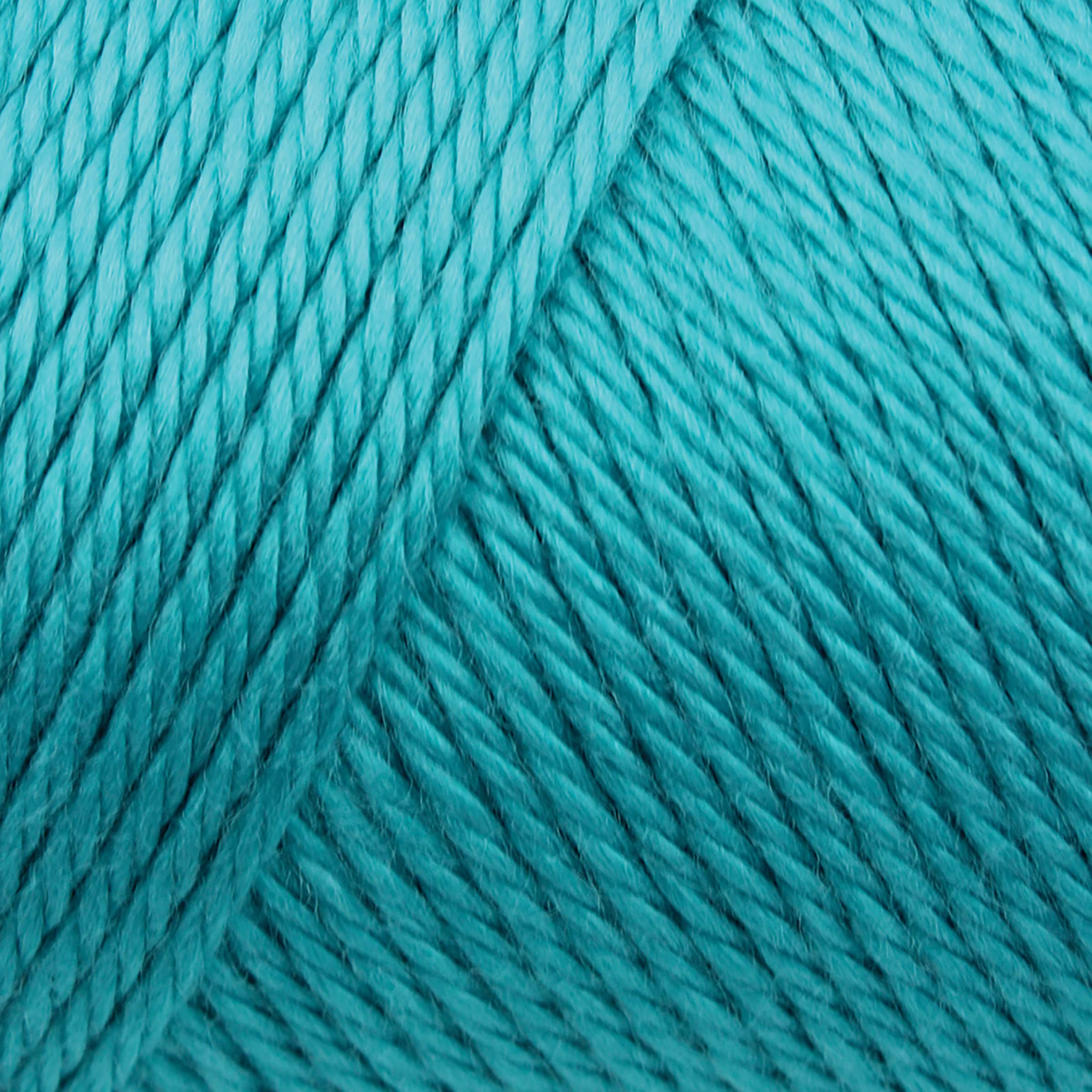 Caron&#xAE; Simply Soft&#xAE; Solid Yarn