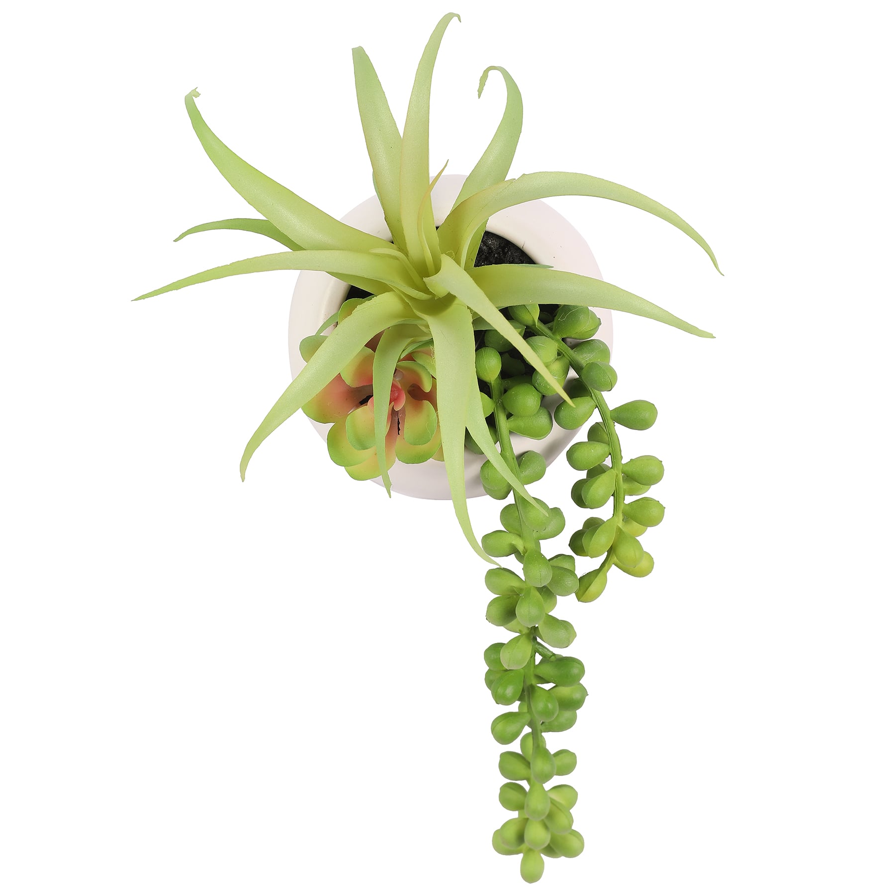 4&#x22; Succulent in White Planter by Ashland&#xAE;