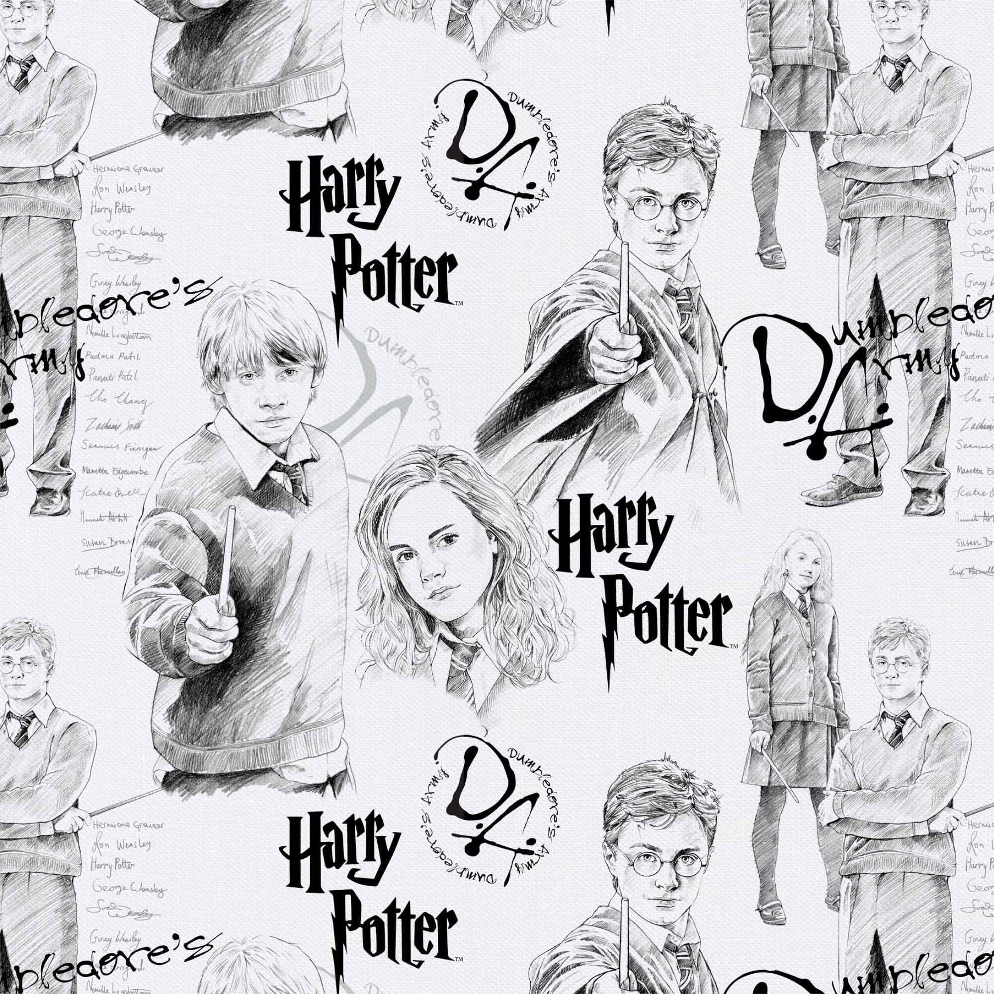 Camelot Fabrics Harry Potter Mystery Magic Cotton Precut, 4ct.