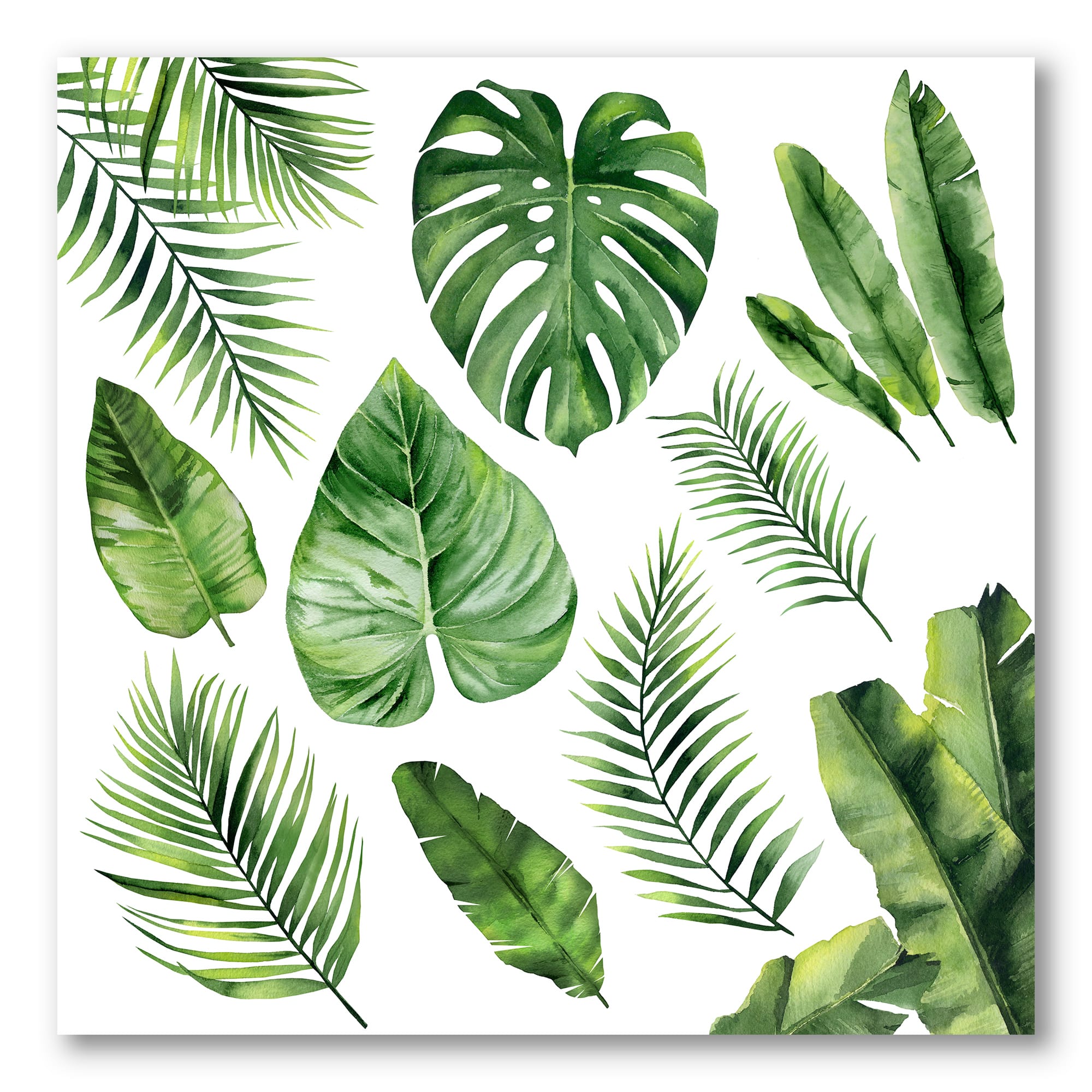 Designart - Tropical Leaf Of Monstera V - Farmhouse Canvas Wall Art Print