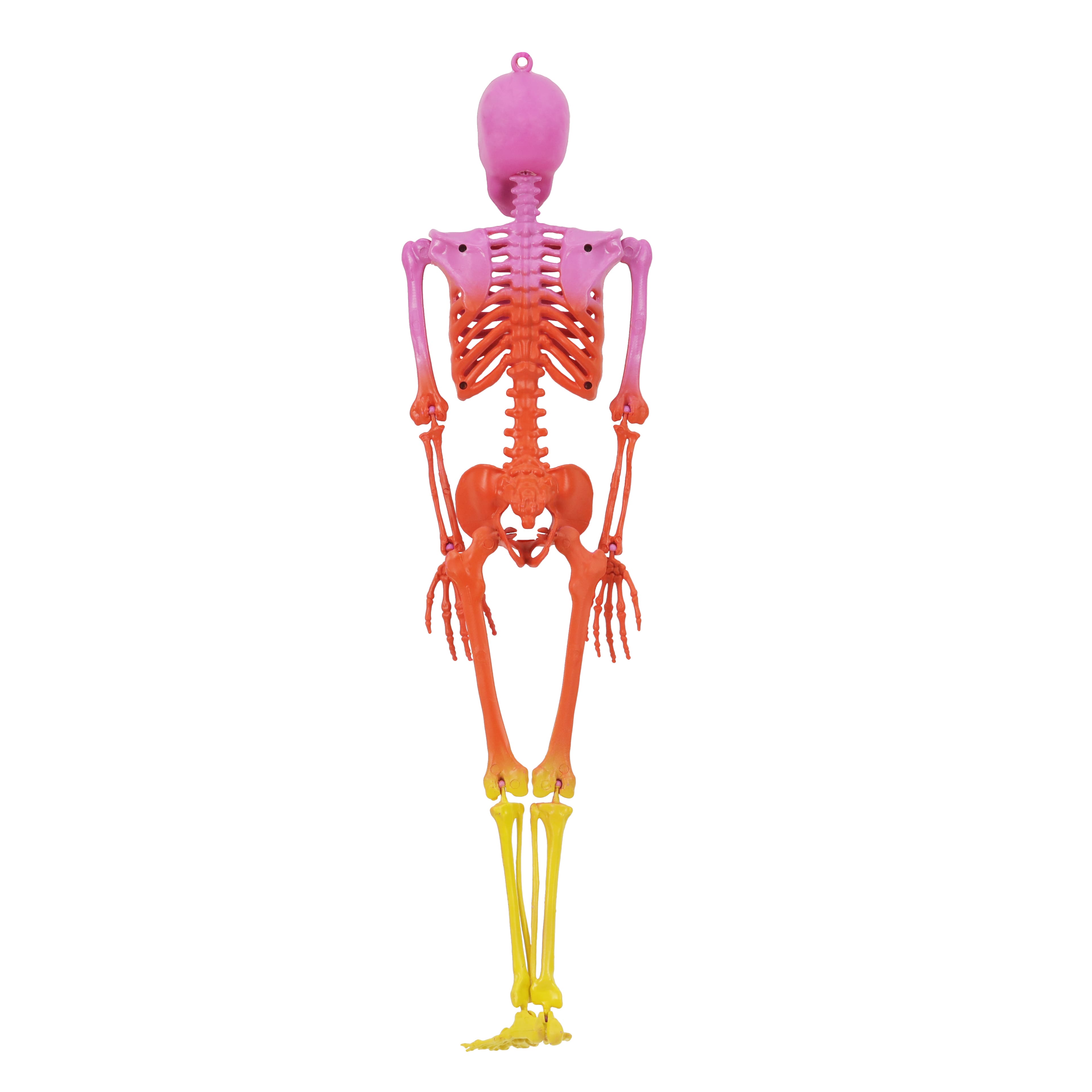 23&#x22; Bright Ombre Skeleton Wall D&#xE9;cor by Ashland&#xAE;