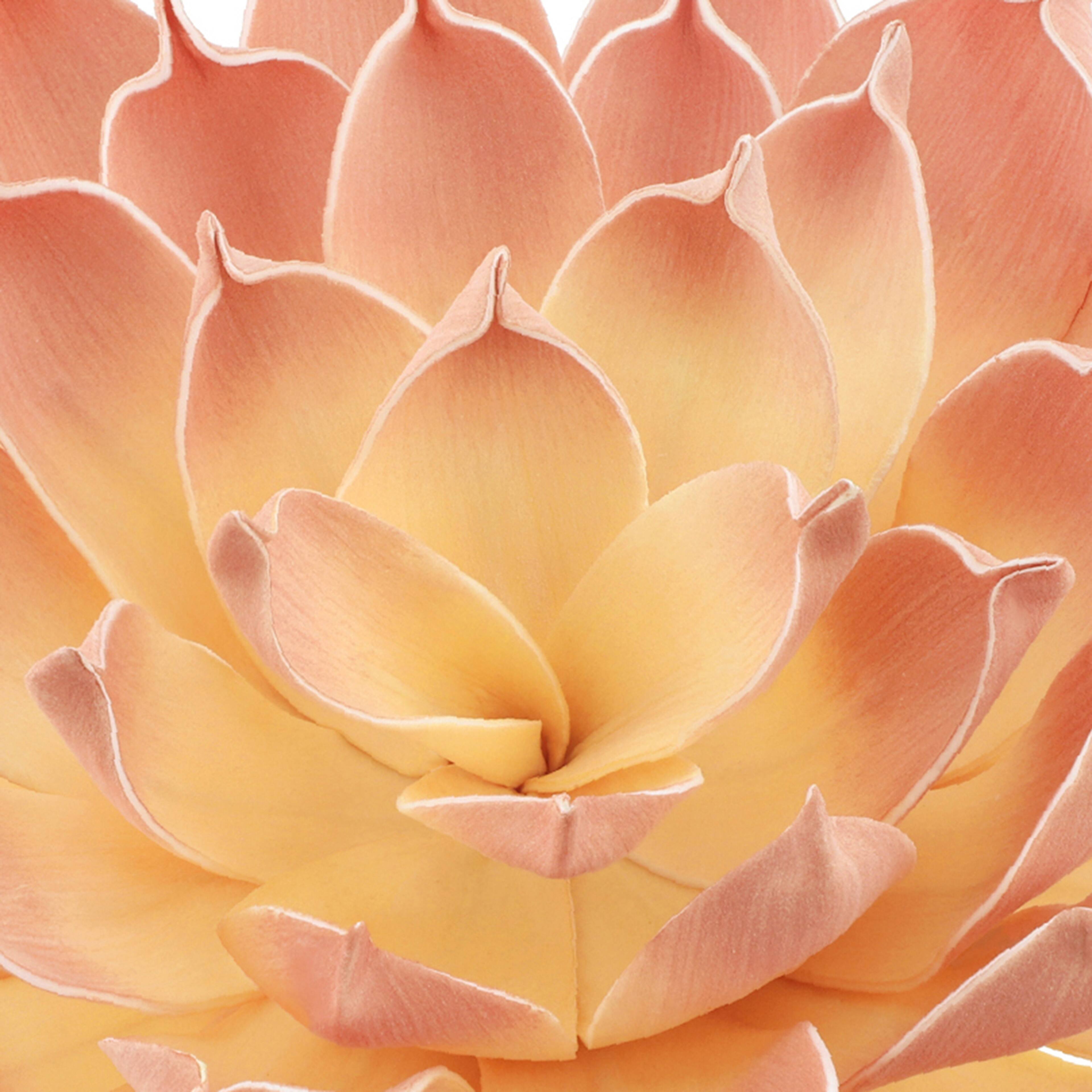 12.5&#x22; Peach Decorative Succulent by Ashland&#xAE;