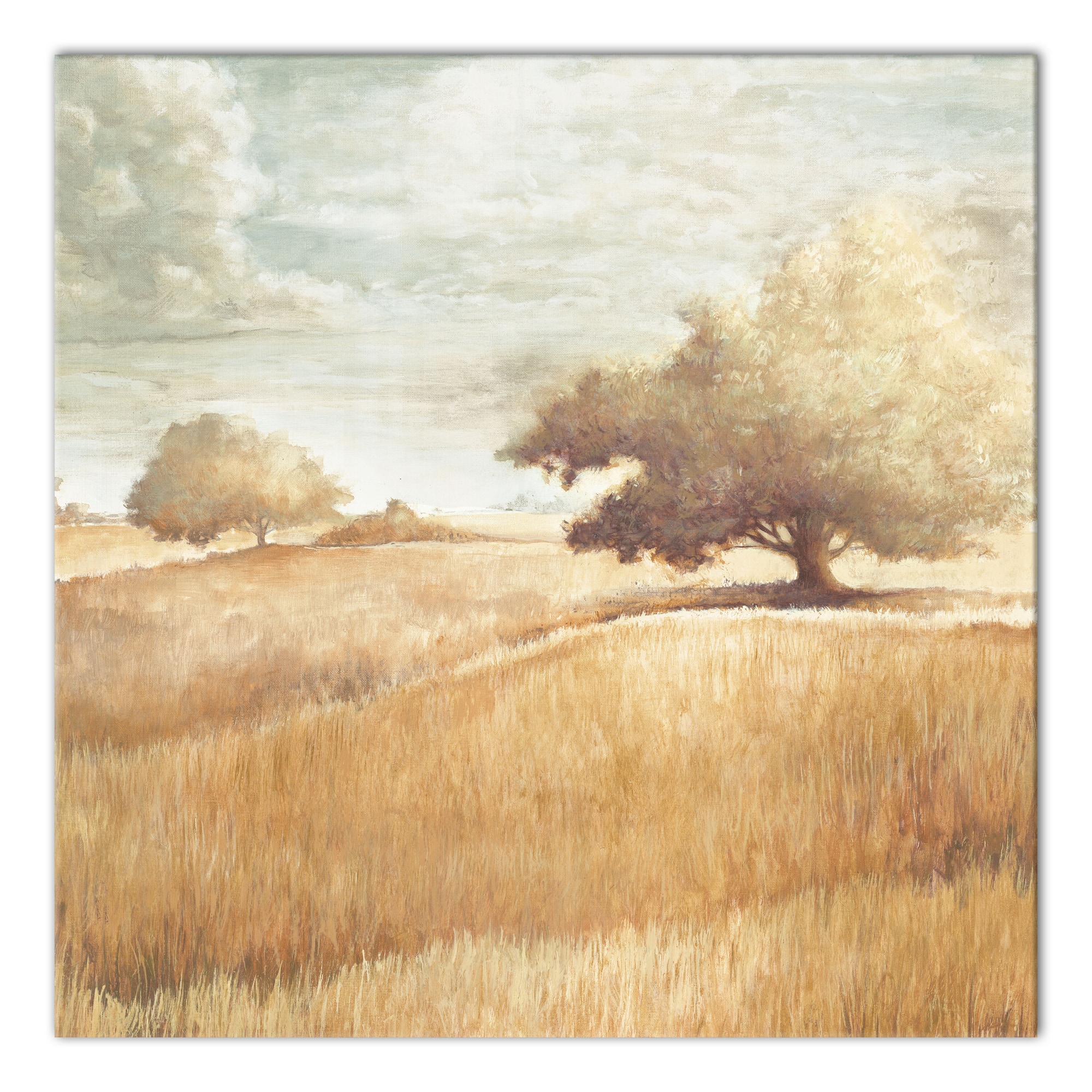 Golden Wheat Field Canvas Wall Art