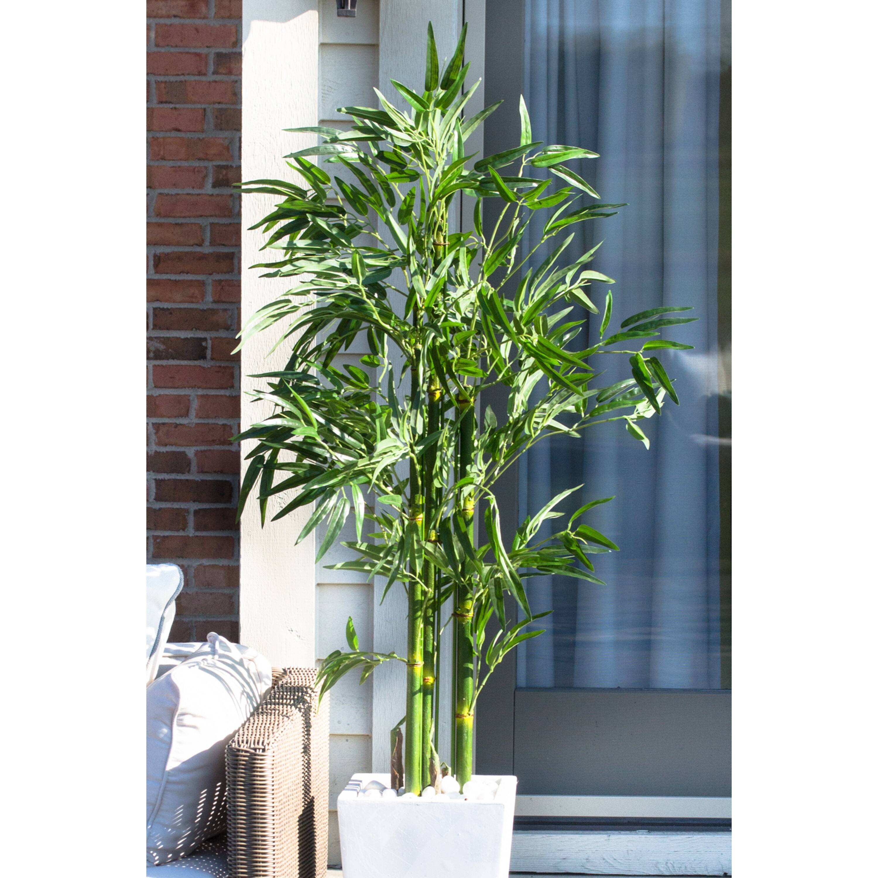 5ft. UV Resistant Bamboo Tree in White Planter