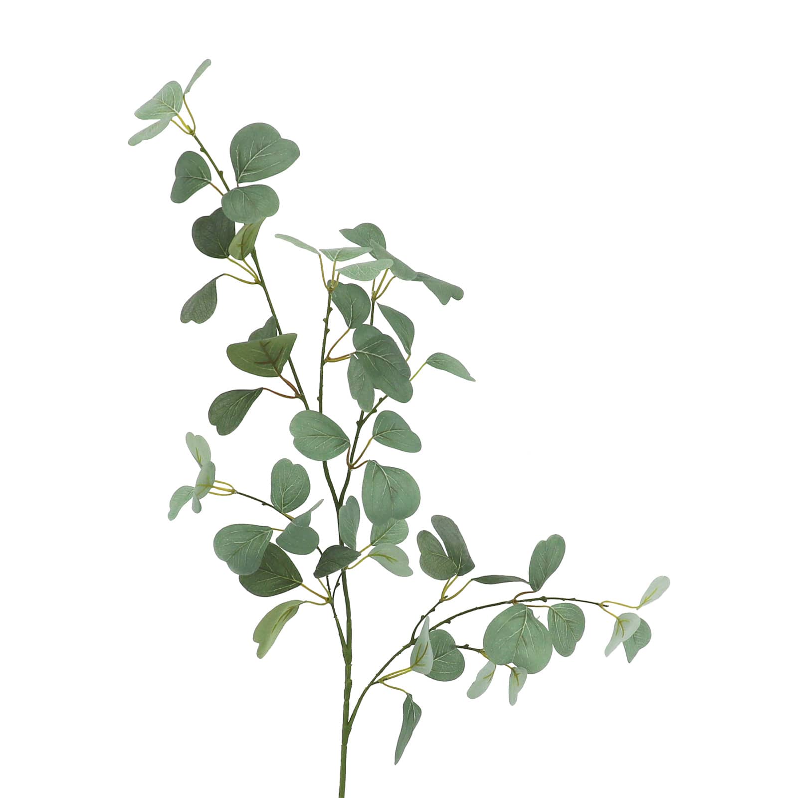 29&#x22; Green Heart Eucalyptus Stem by Ashland&#xAE;