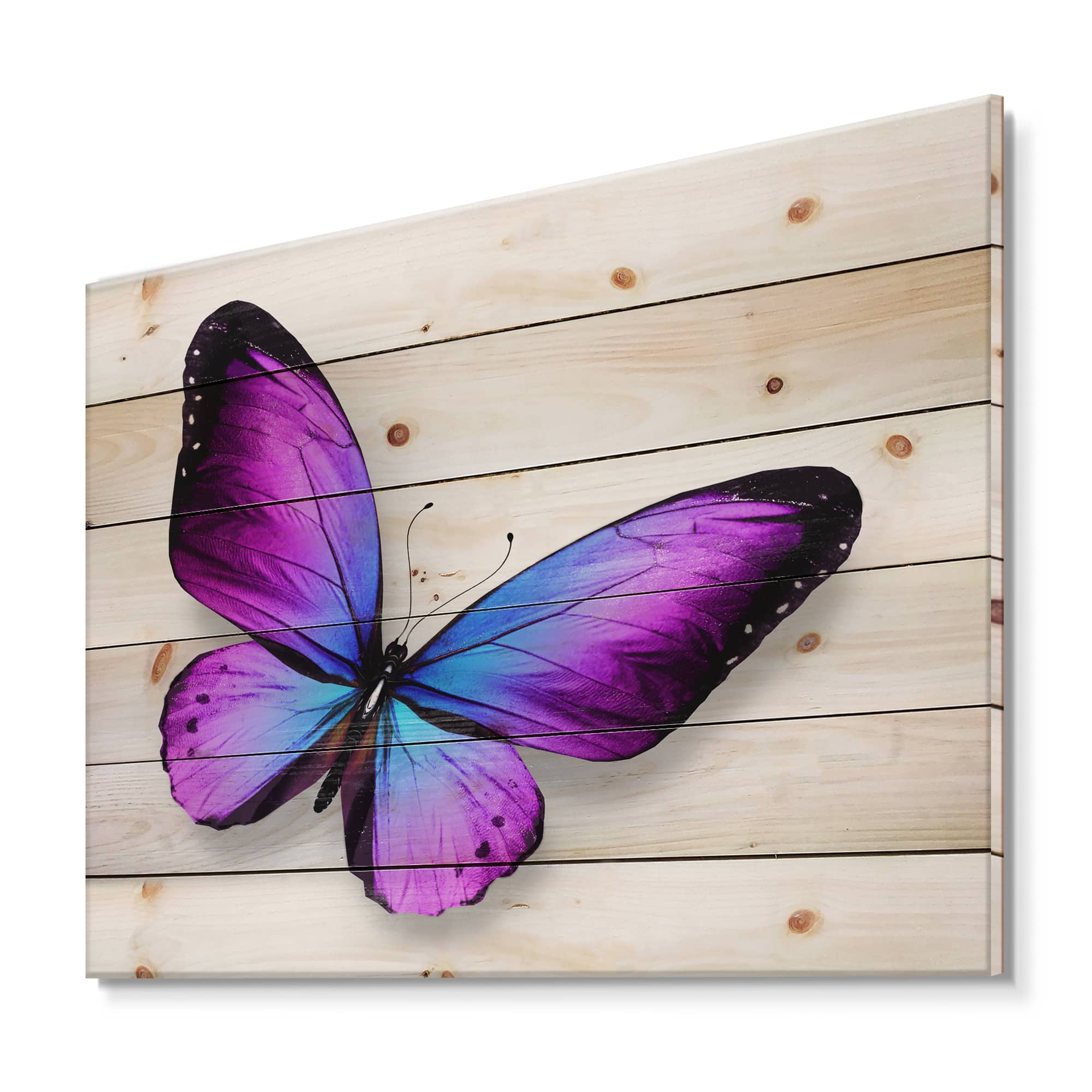 Designart - Violet and Blue Butterfly - Modern Print on Natural Pine Wood