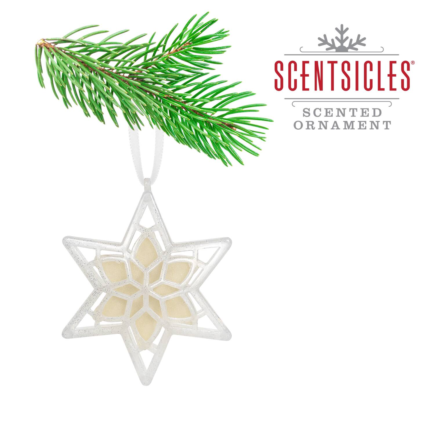 Scentsicles® 3" White Winter Fir Scented Star Ornament, 2ct.