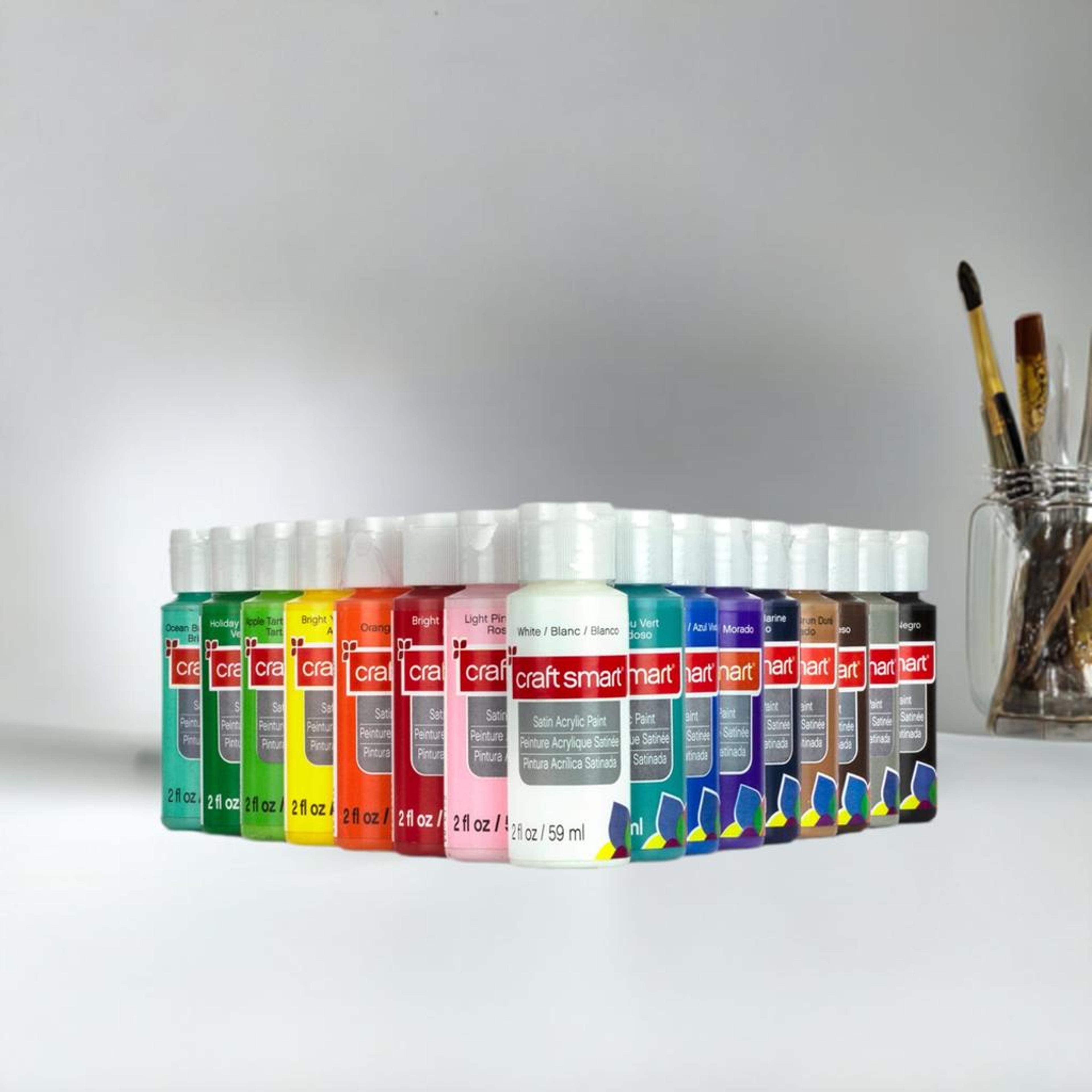 16 Colour Satin Acrylic Paint Value Pack by Craft Smart&#xAE;