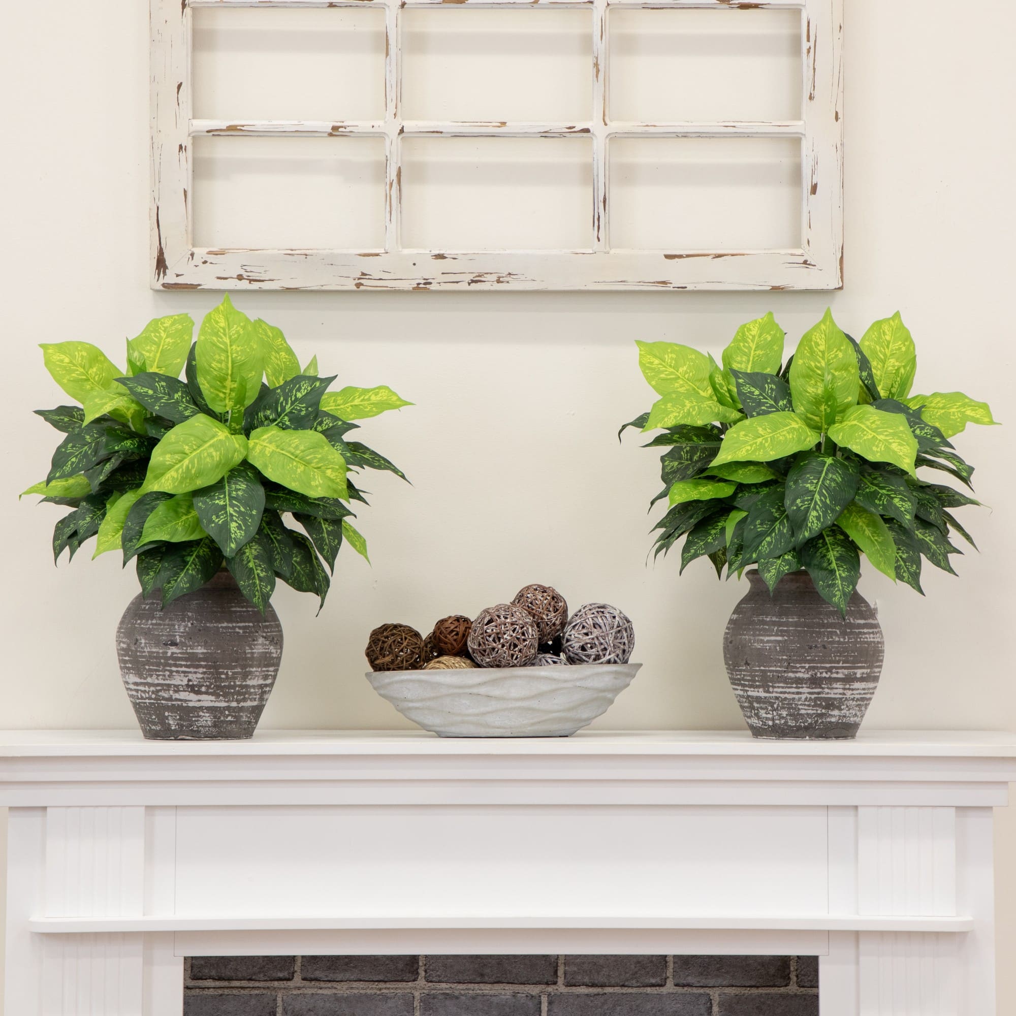 19" Artificial Dieffenbachia Plants, 6ct.