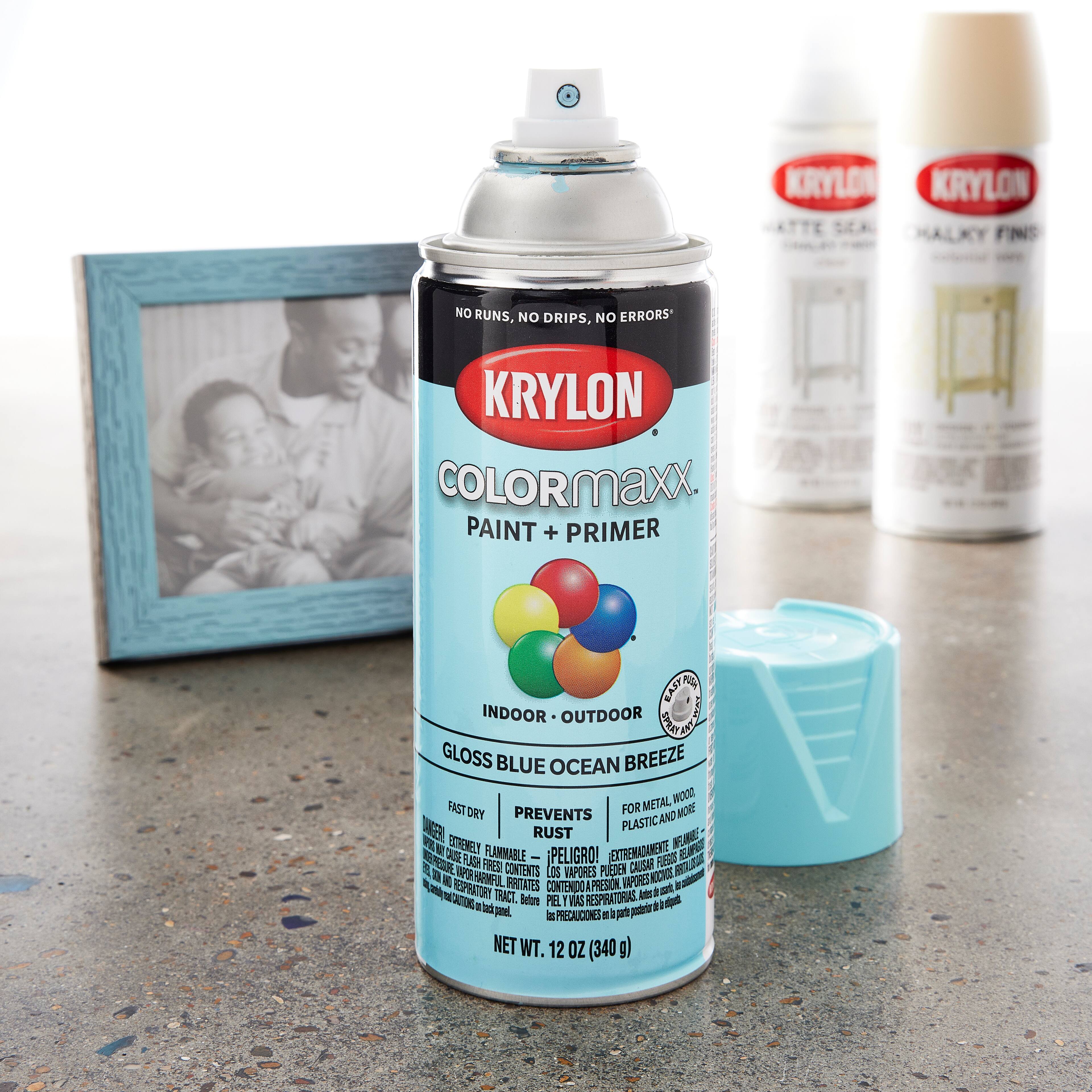 Krylon® COLORmaxx™ Gloss Paint & Primer Spray Paint Michaels