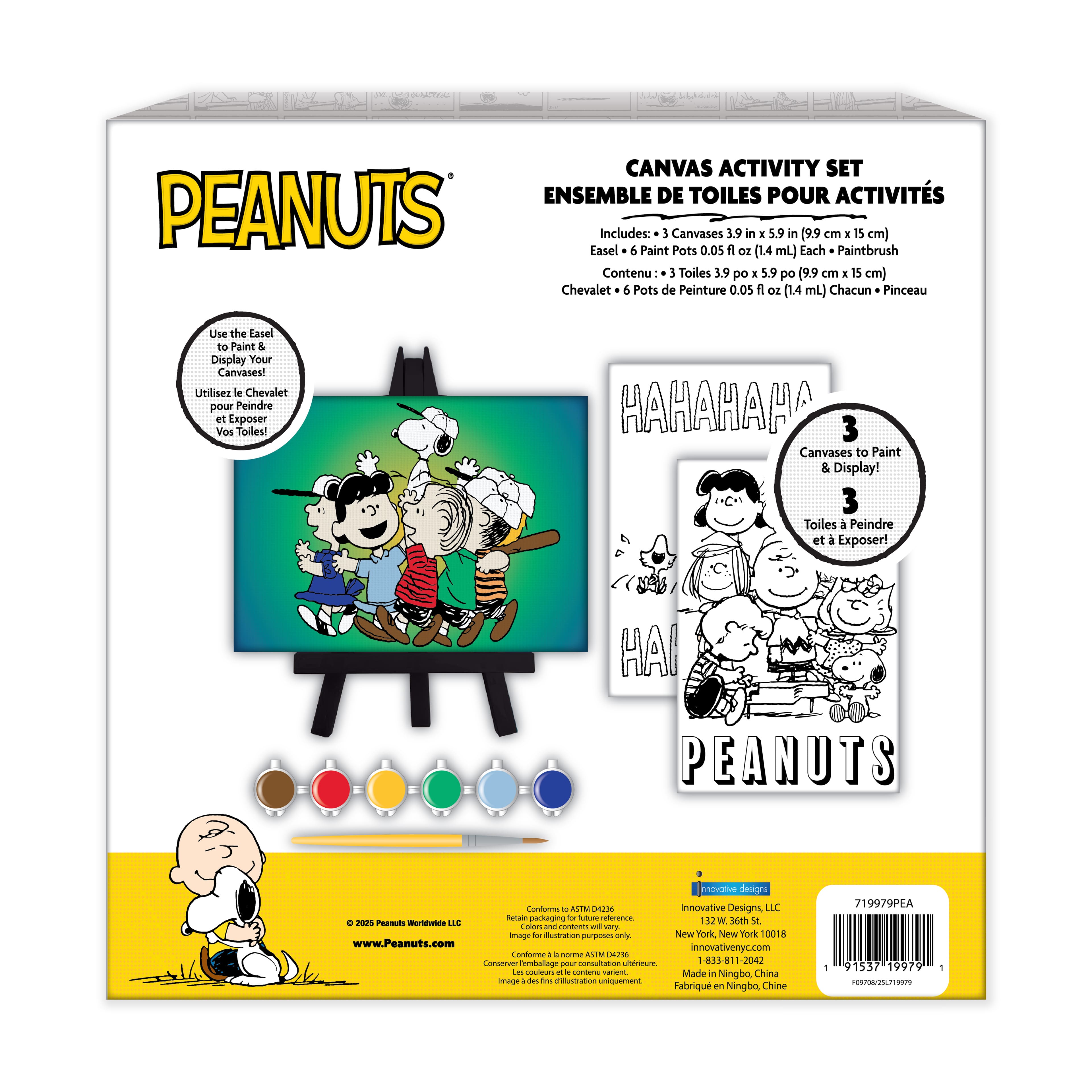 Peanuts® Paint Your Own Canvas Activity Set