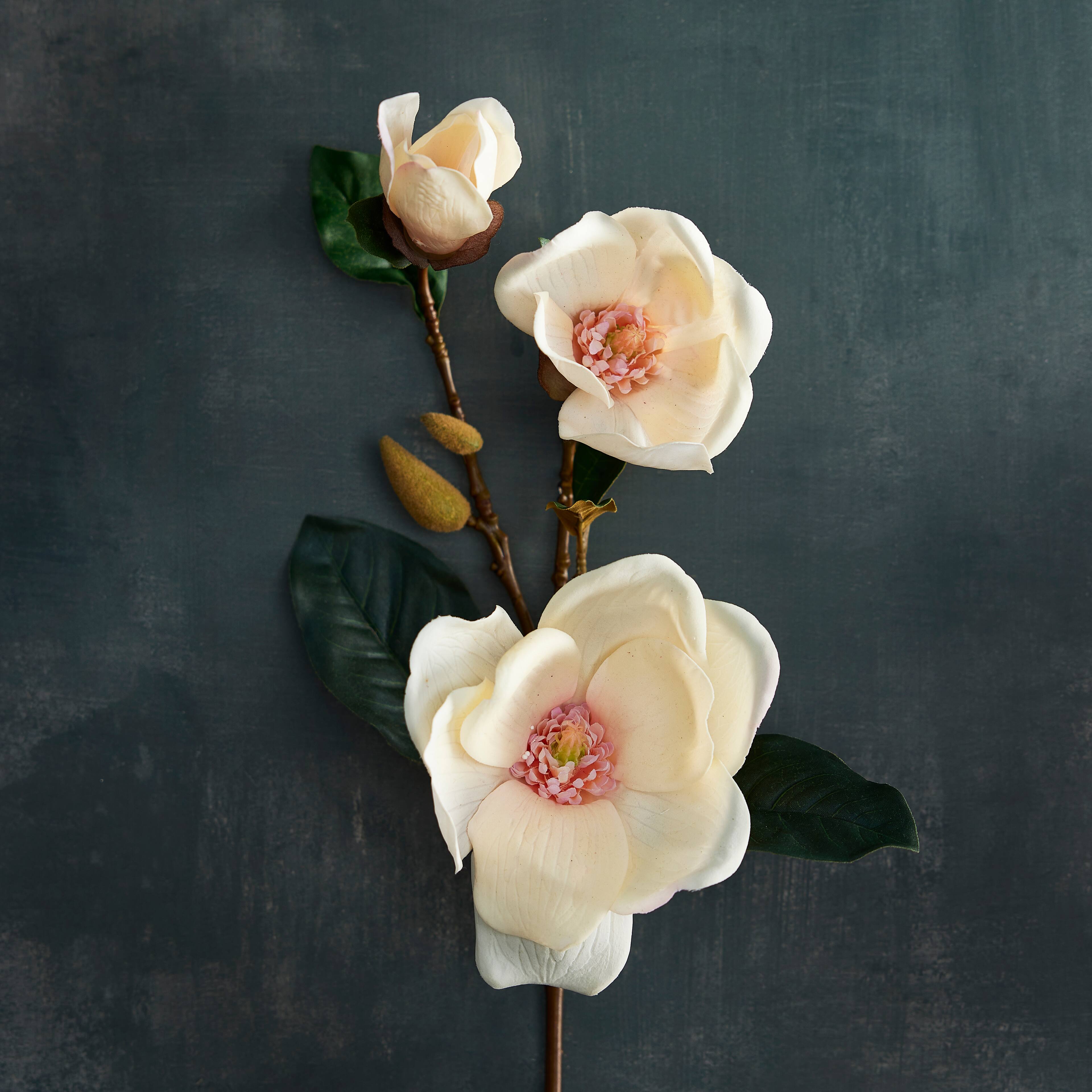 8 Pack: Coral Magnolia Stem by Ashland&#xAE;