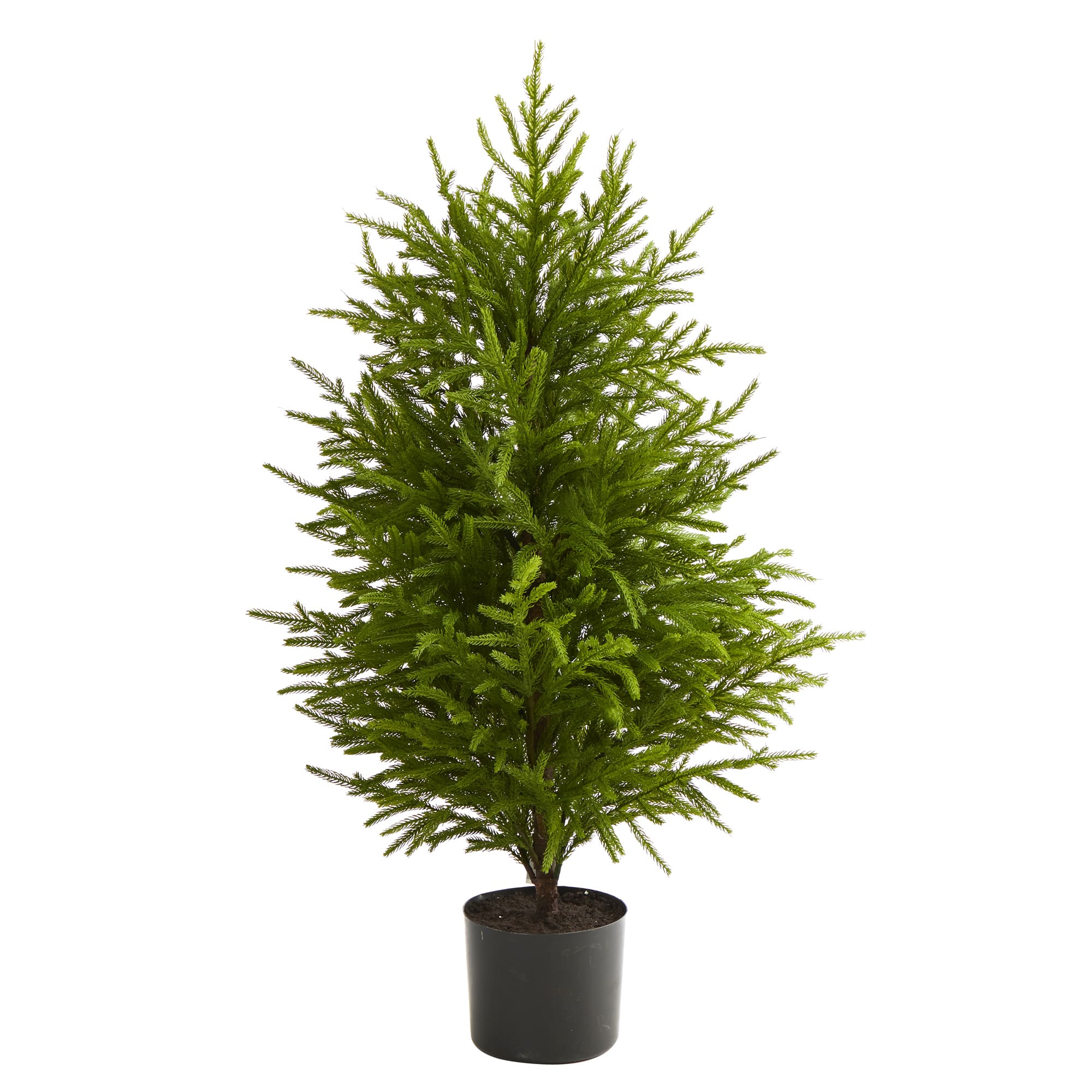 3 5ft Unlit Norfolk Island Pine Natural Look Artificial Christmas Tree Michaels 3 5ft Unlit Norfolk Island Pine Natural Look Artificial Christmas Tree Michaels