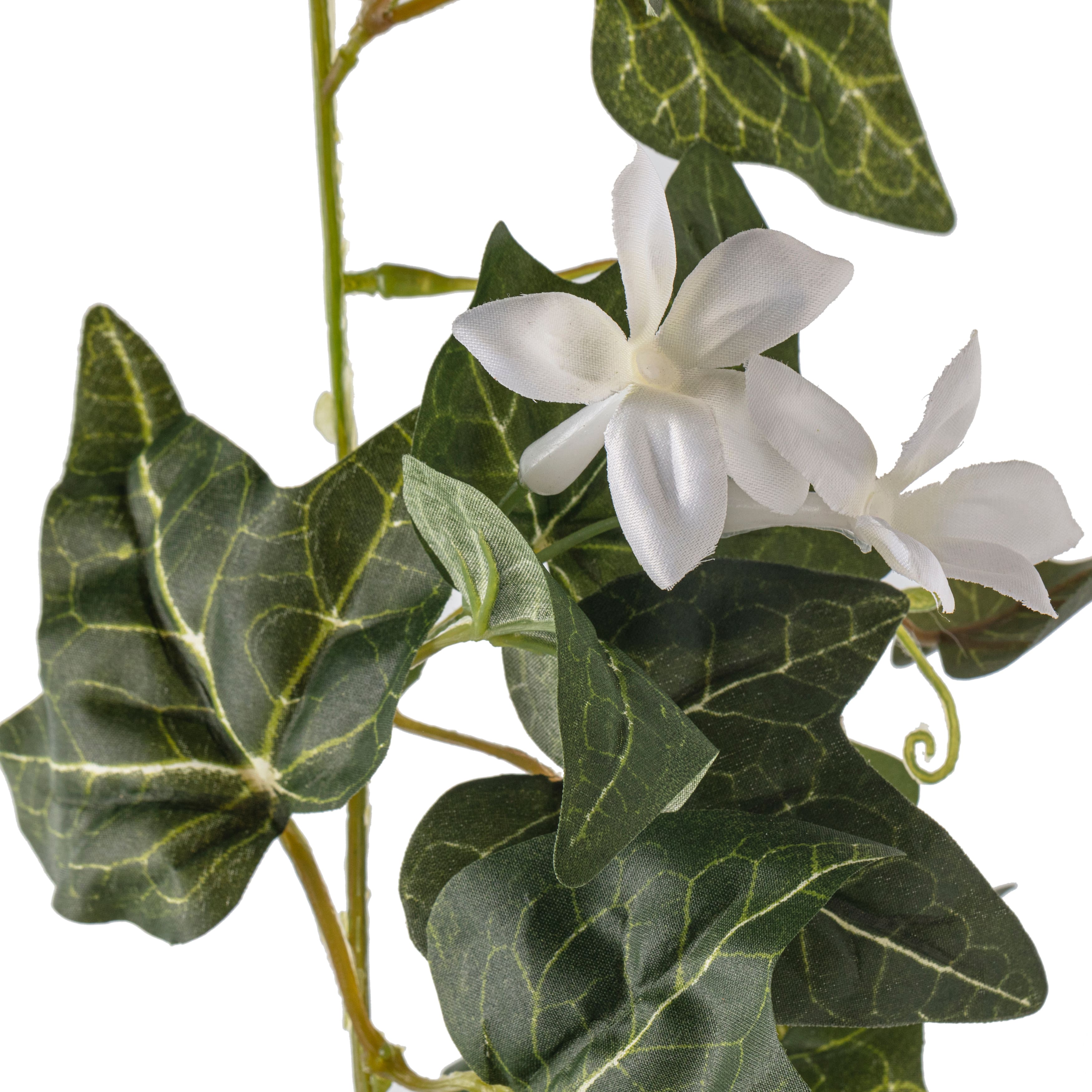 6ft. English Ivy Garland by Ashland®