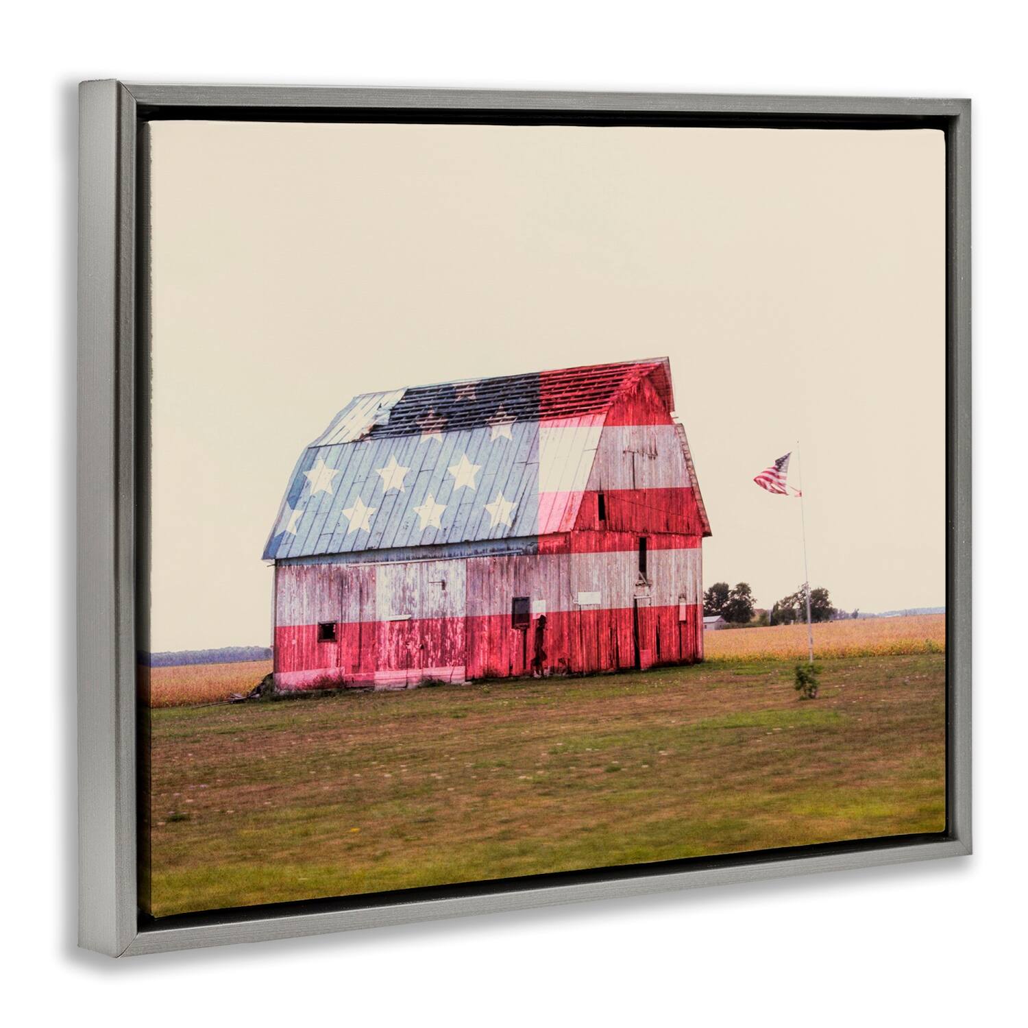 Stupell Industries Americana Farmhouse Barn Floater Framed Art