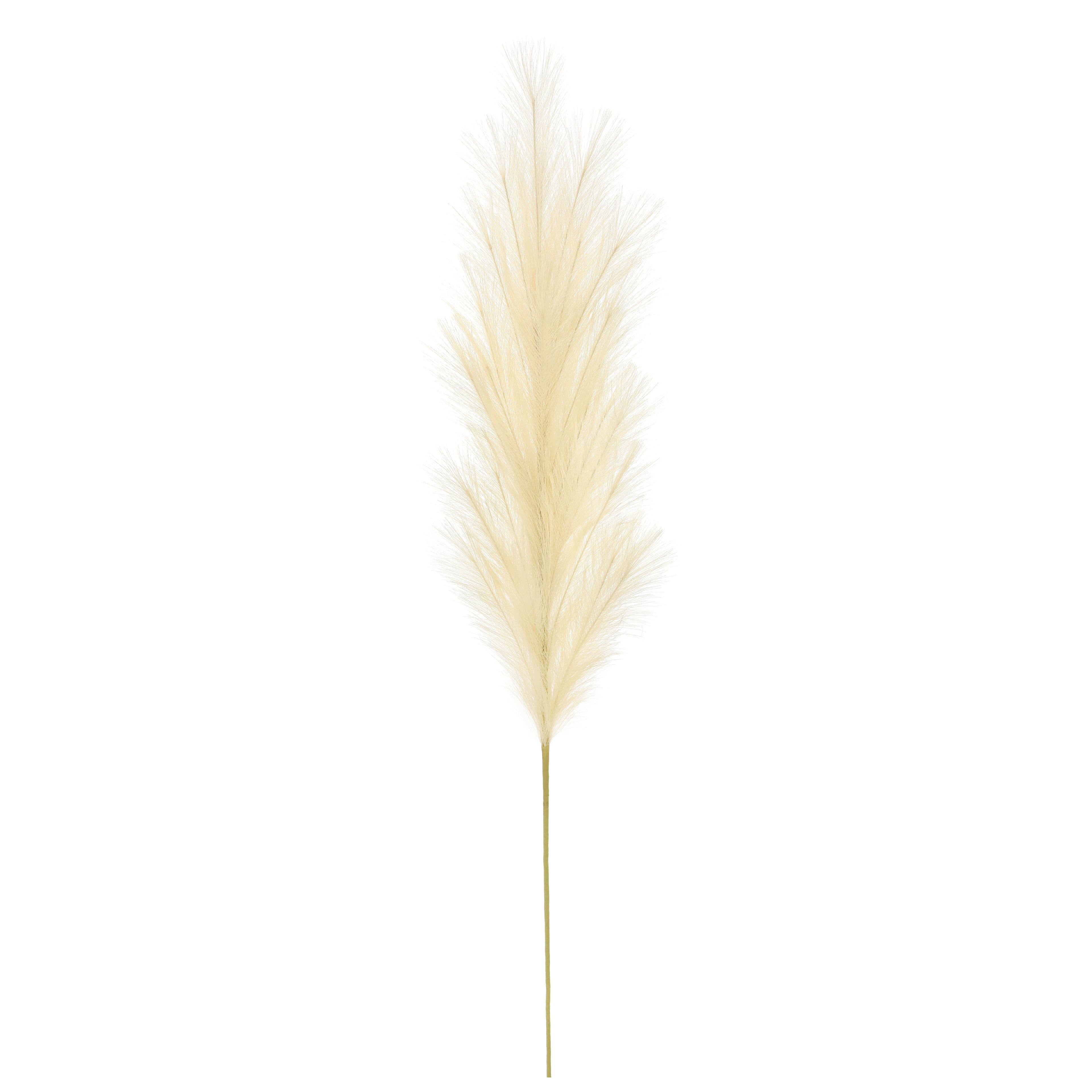 5ft. Cream Pampas Grass Stem by Ashland&#xAE;
