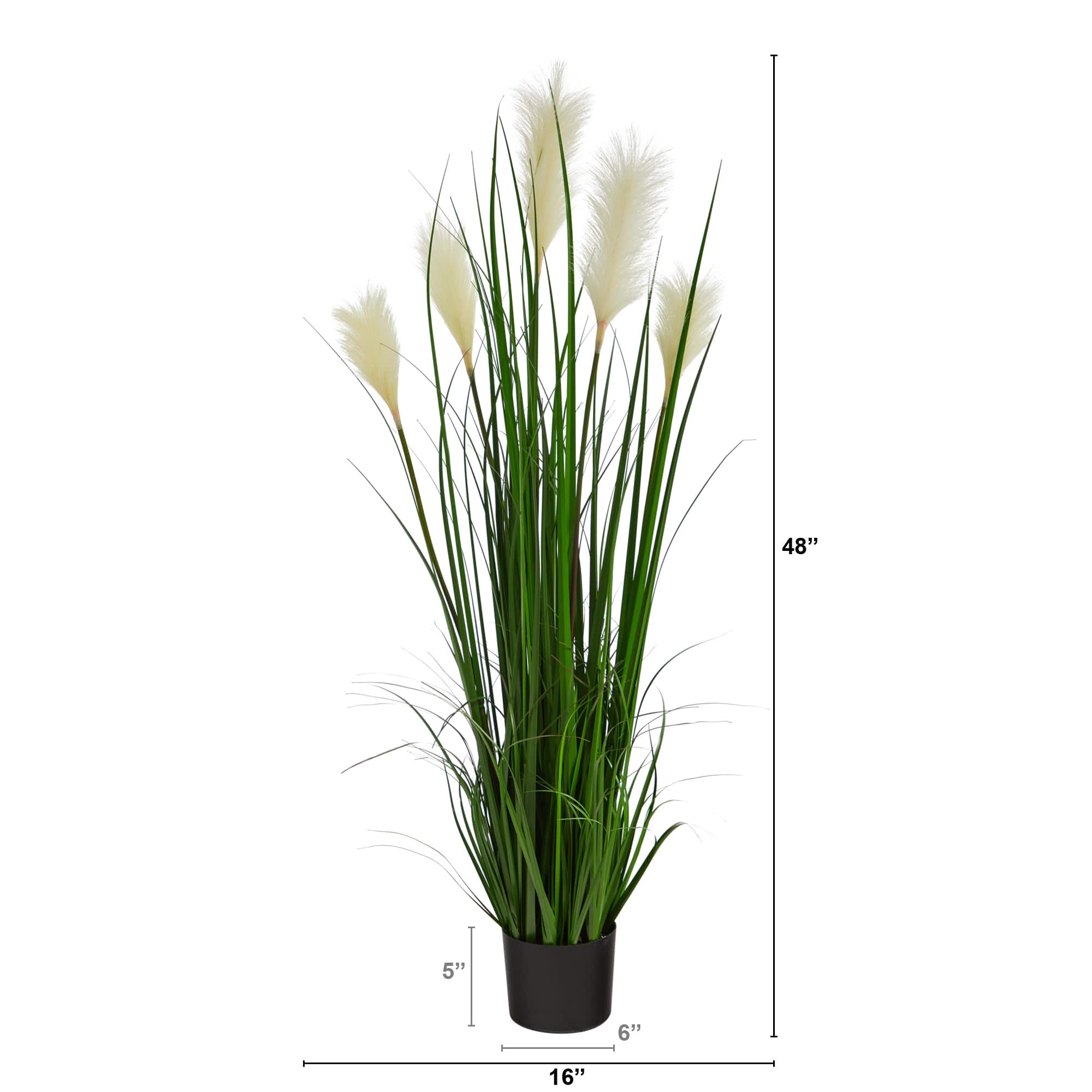 4ft. Potted Plume Grass Plant