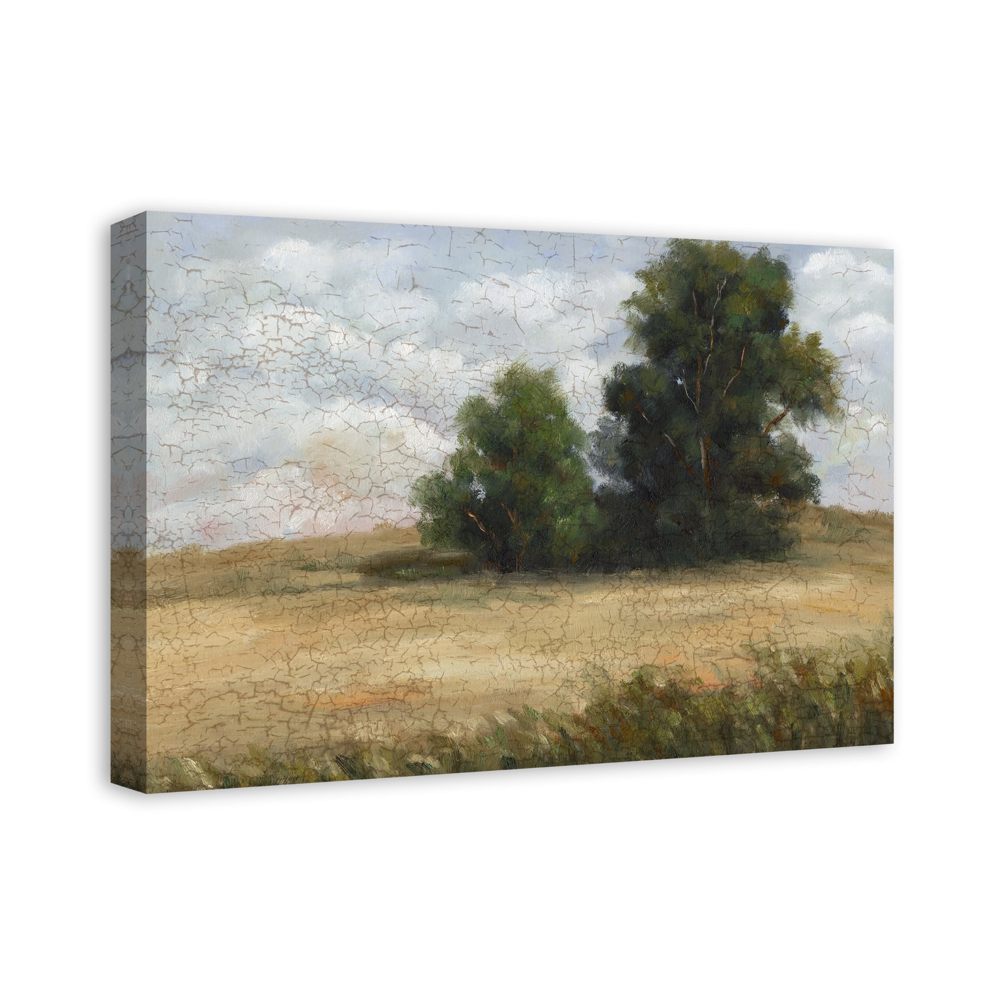 Antiqued Landscape 24" x 16" Canvas Wall Art