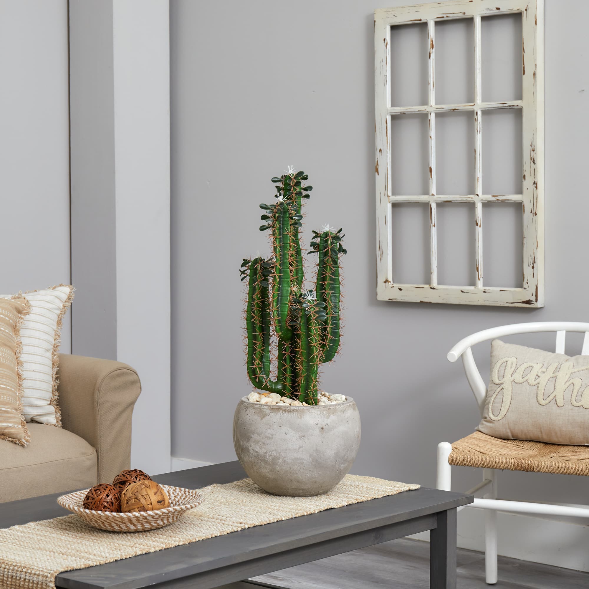 2.5ft. Cactus in Bowl Planter