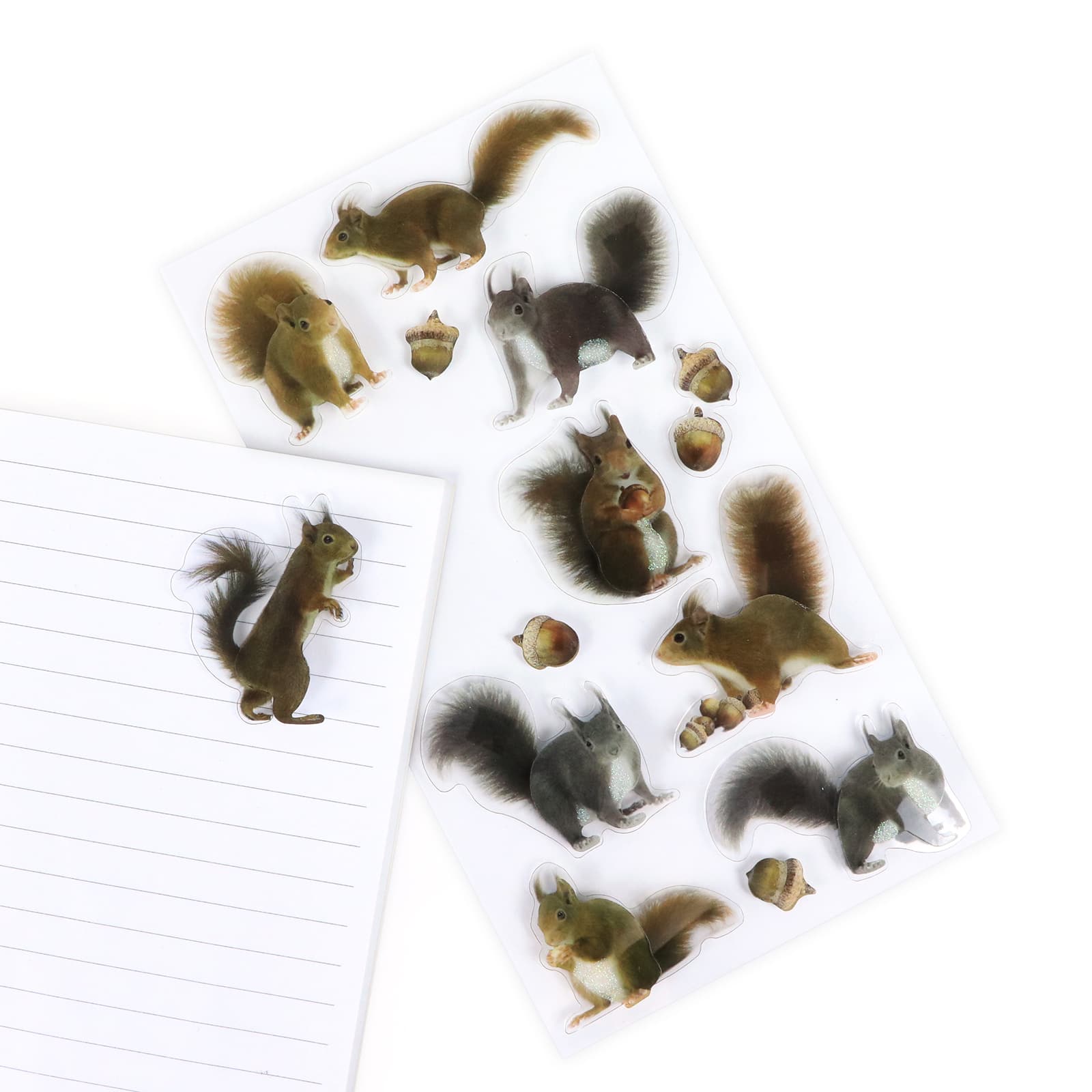 12 Pack: Squirrel Stickers by Recollections™