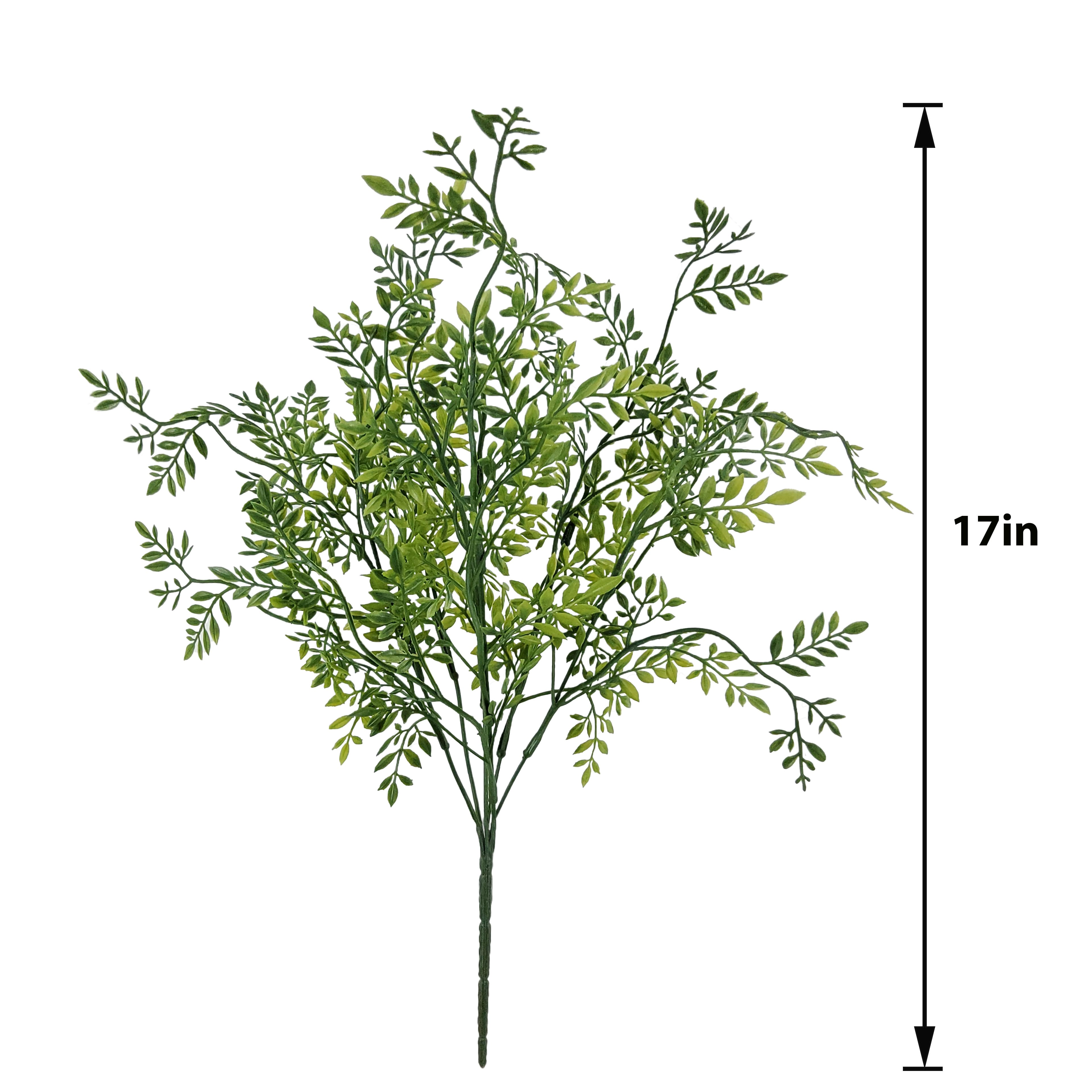 17" Green Ficus Bush by Ashland®