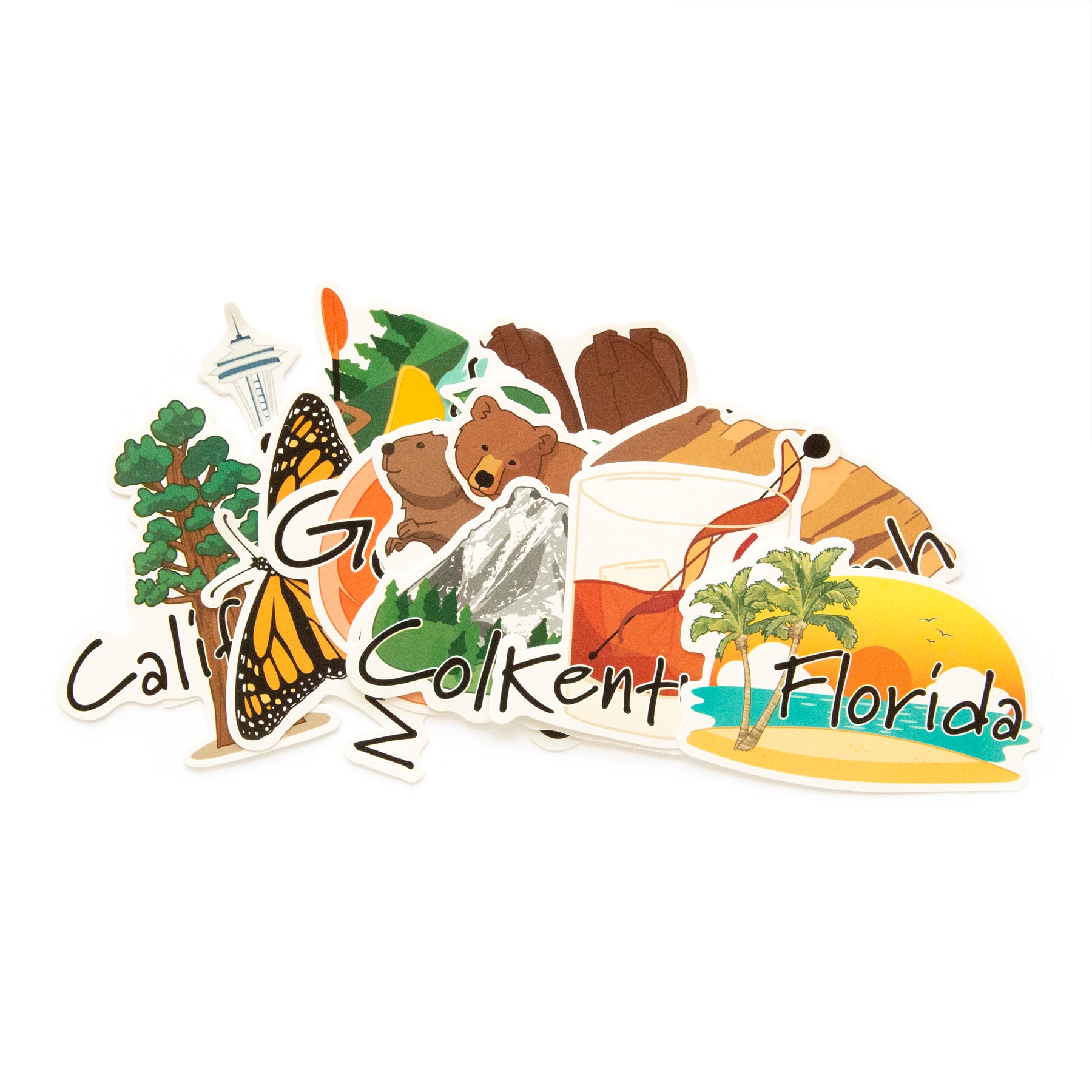 12 Pack: 50 States Vinyl Stickers by Recollections™