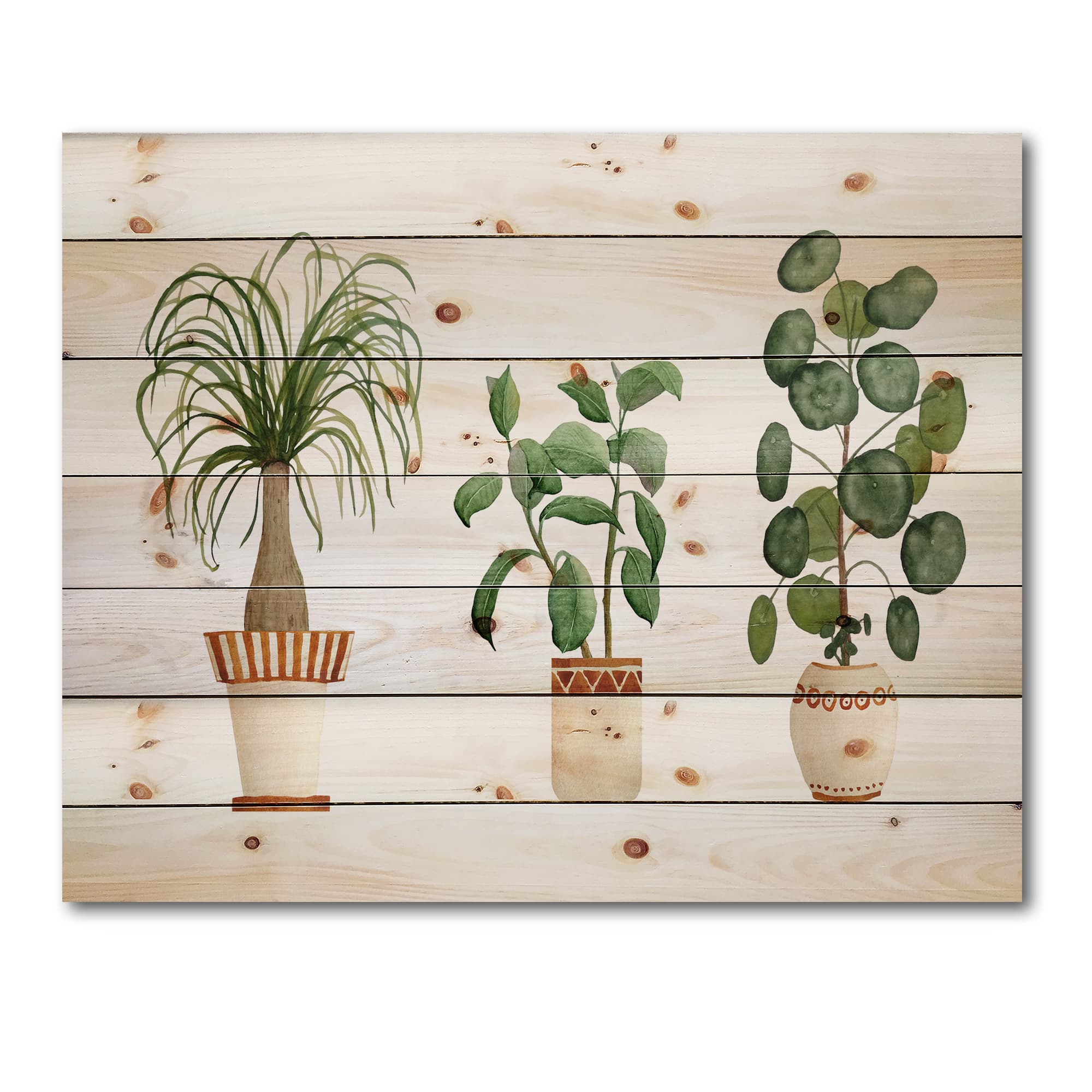 Designart - Trio of House Plants Ponytail Palm and Ficus - Traditional Print on Natural Pine Wood