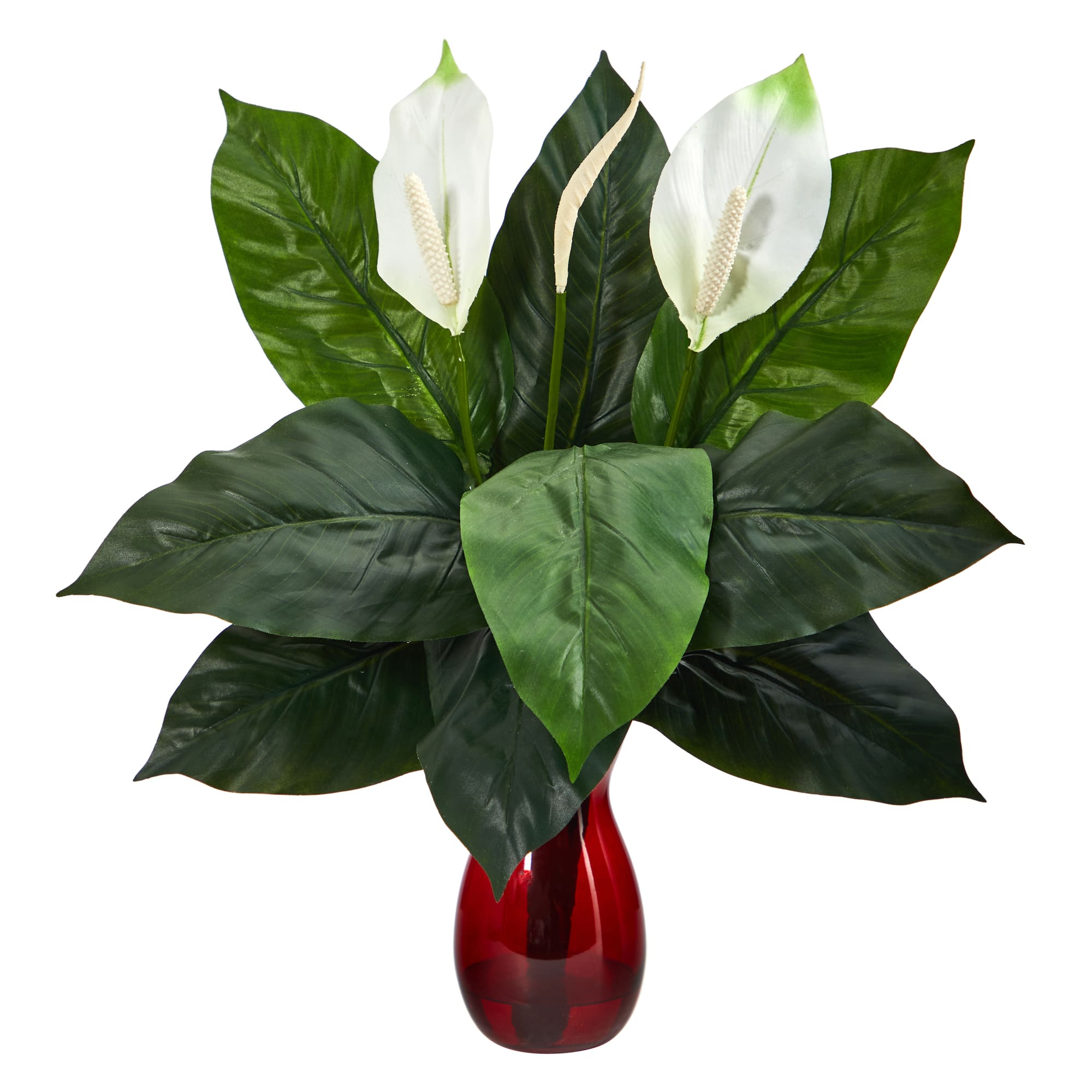 24" Spathiphyllum Artificial Plant in Ruby Planter