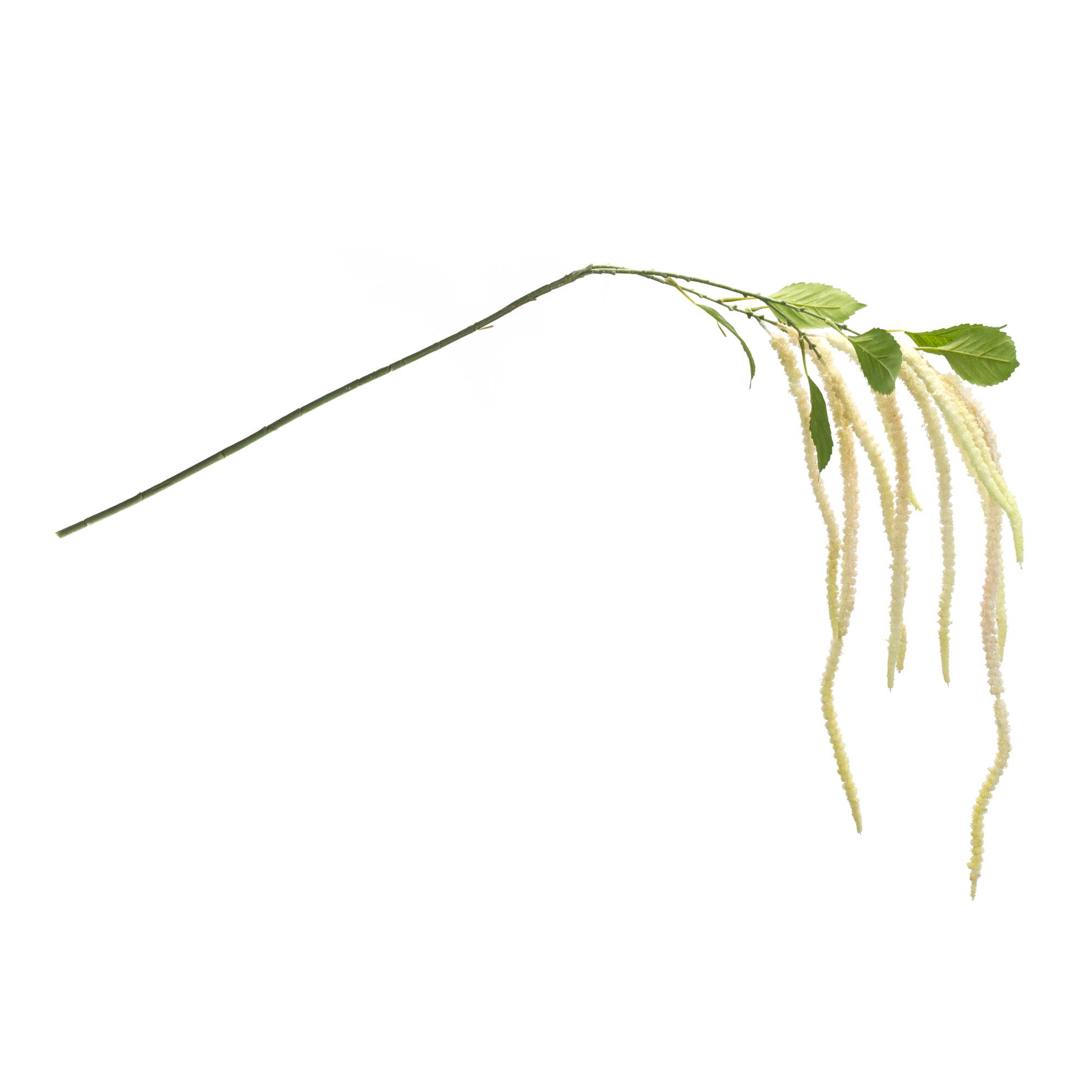 53.25&#x22; Beige Amaranthus Floral Stems, 4ct.