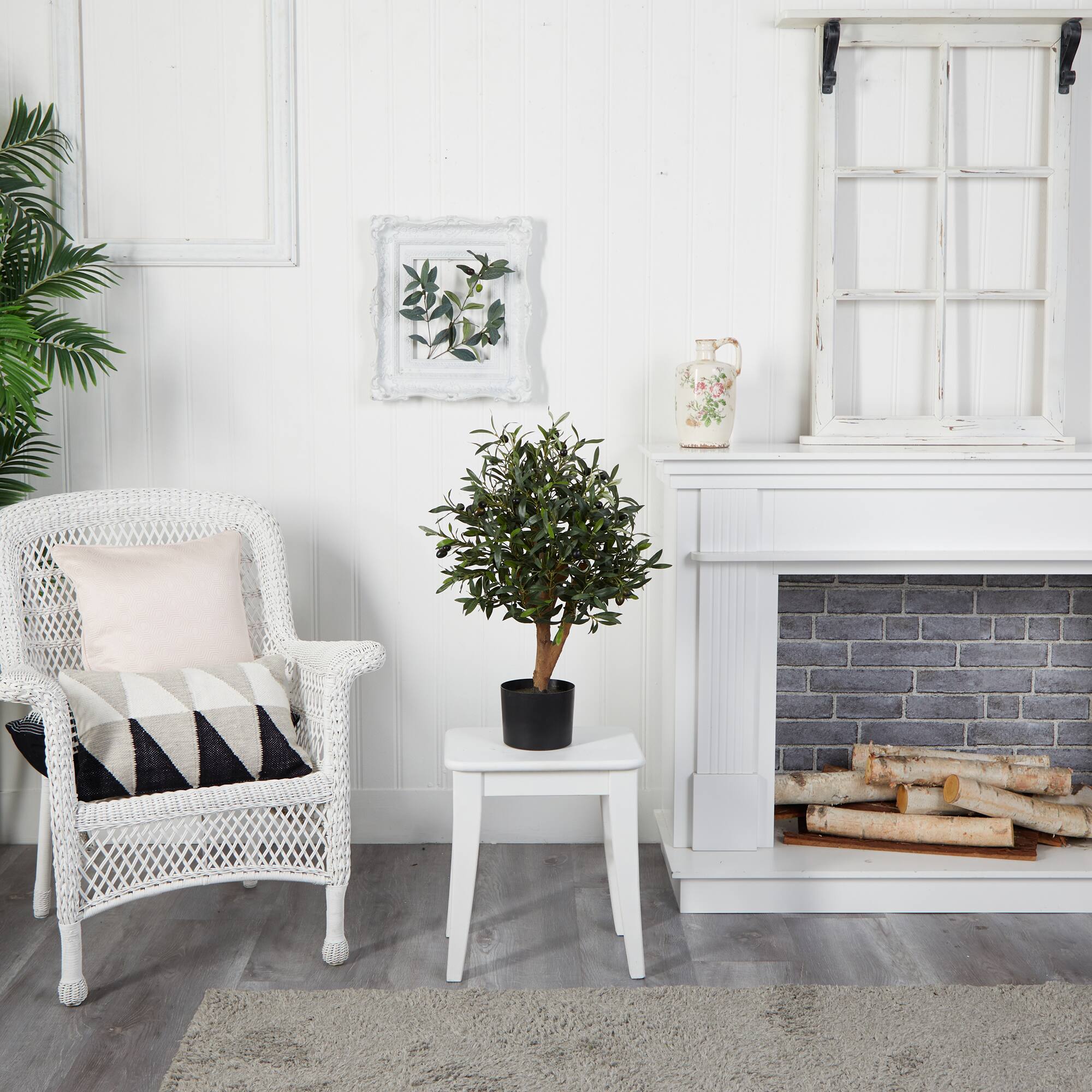 2.5ft Olive Tree in Black Planter