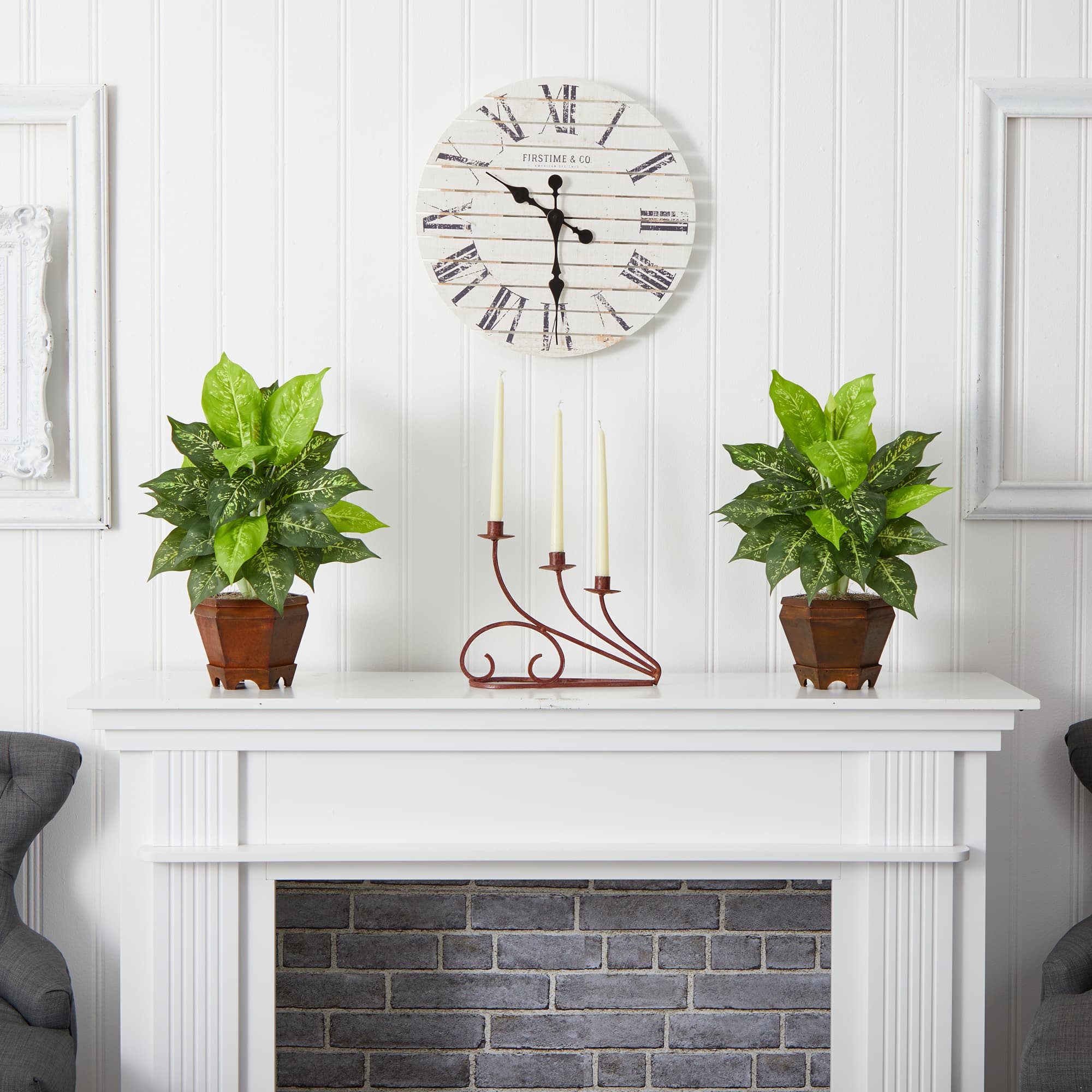 20.5" Variegated Dieffenbachia In Wood Vase, 2ct.