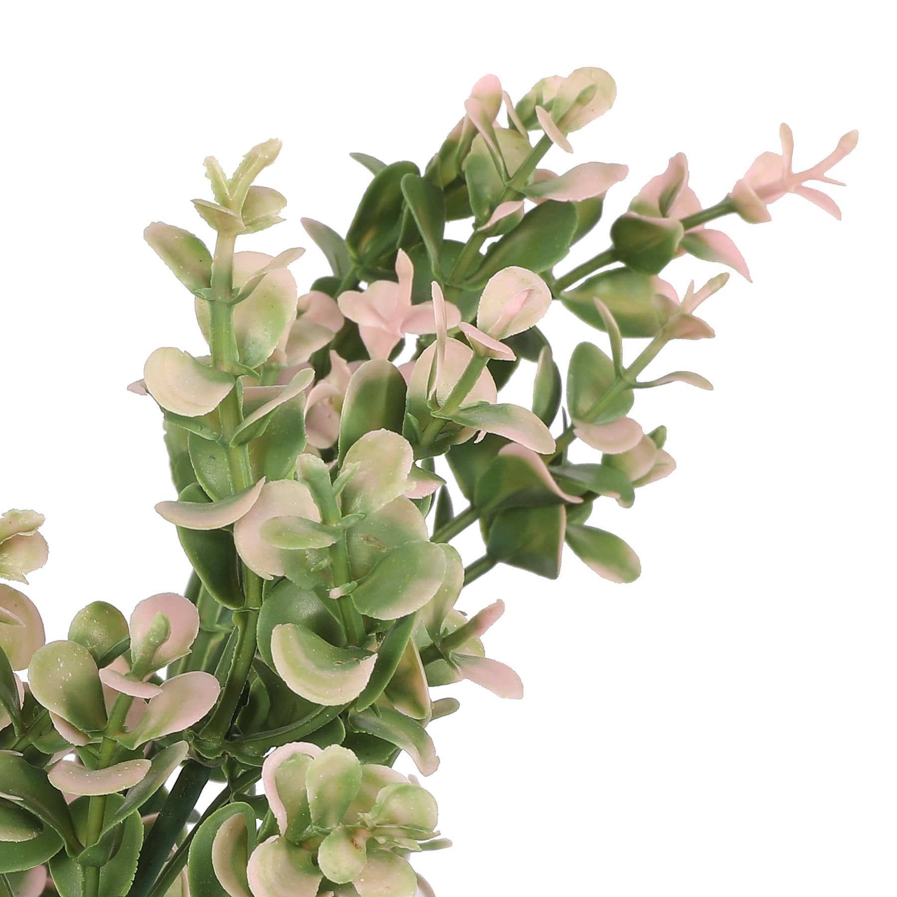 19" Pink Boxwood Bush by Ashland®