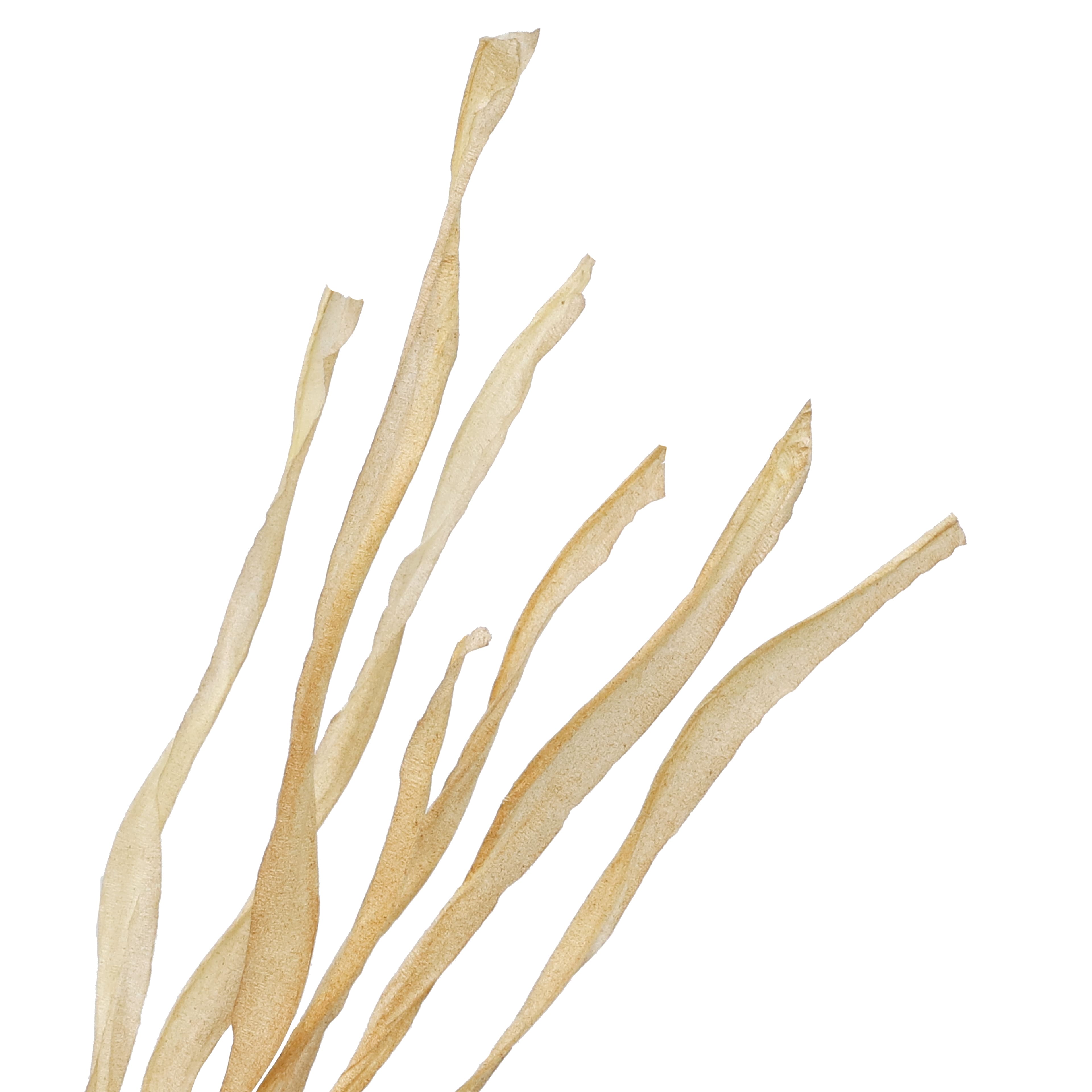 24.5&#x22; Grass Bush by Ashland&#xAE;