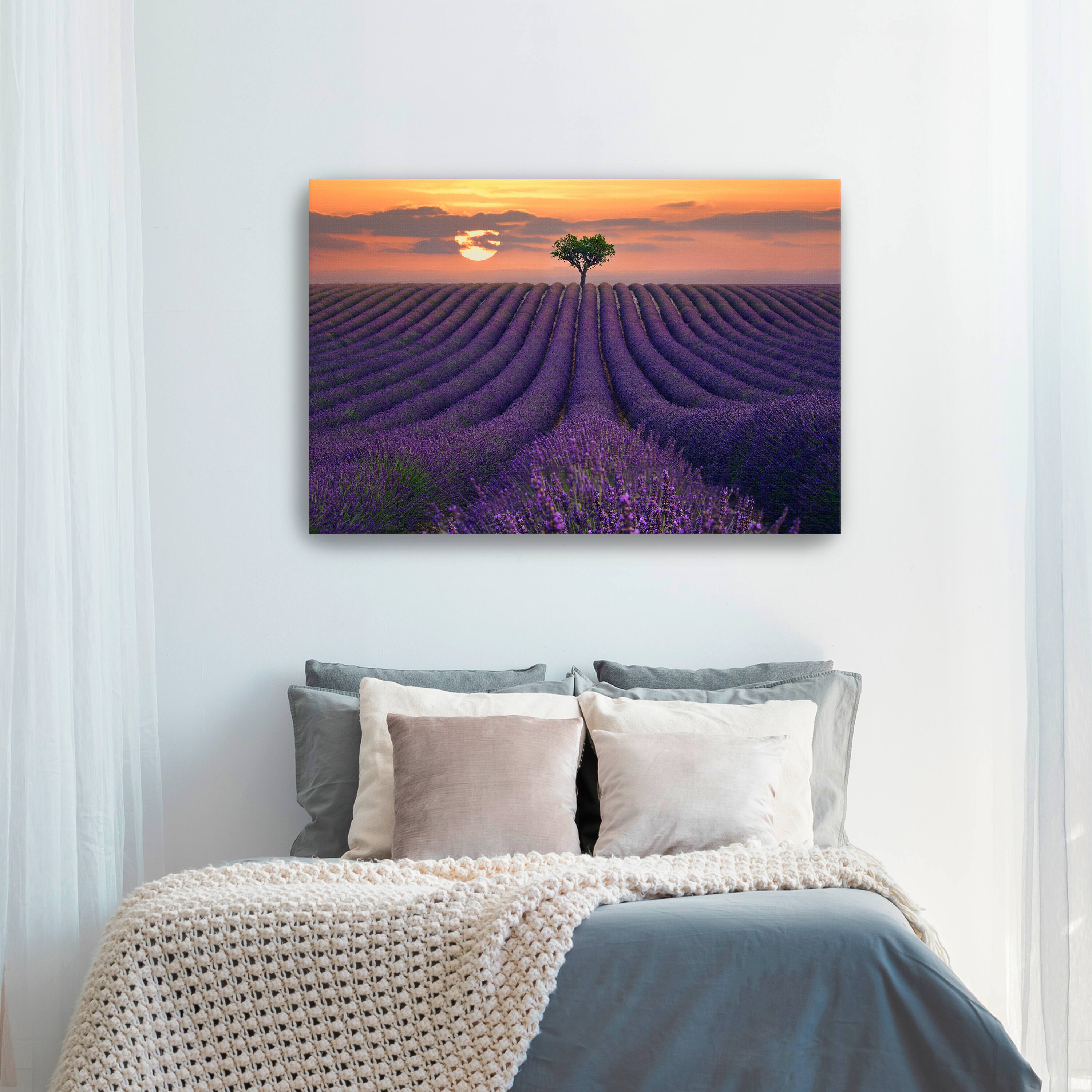 For the Love of Lavender Canvas Giclee