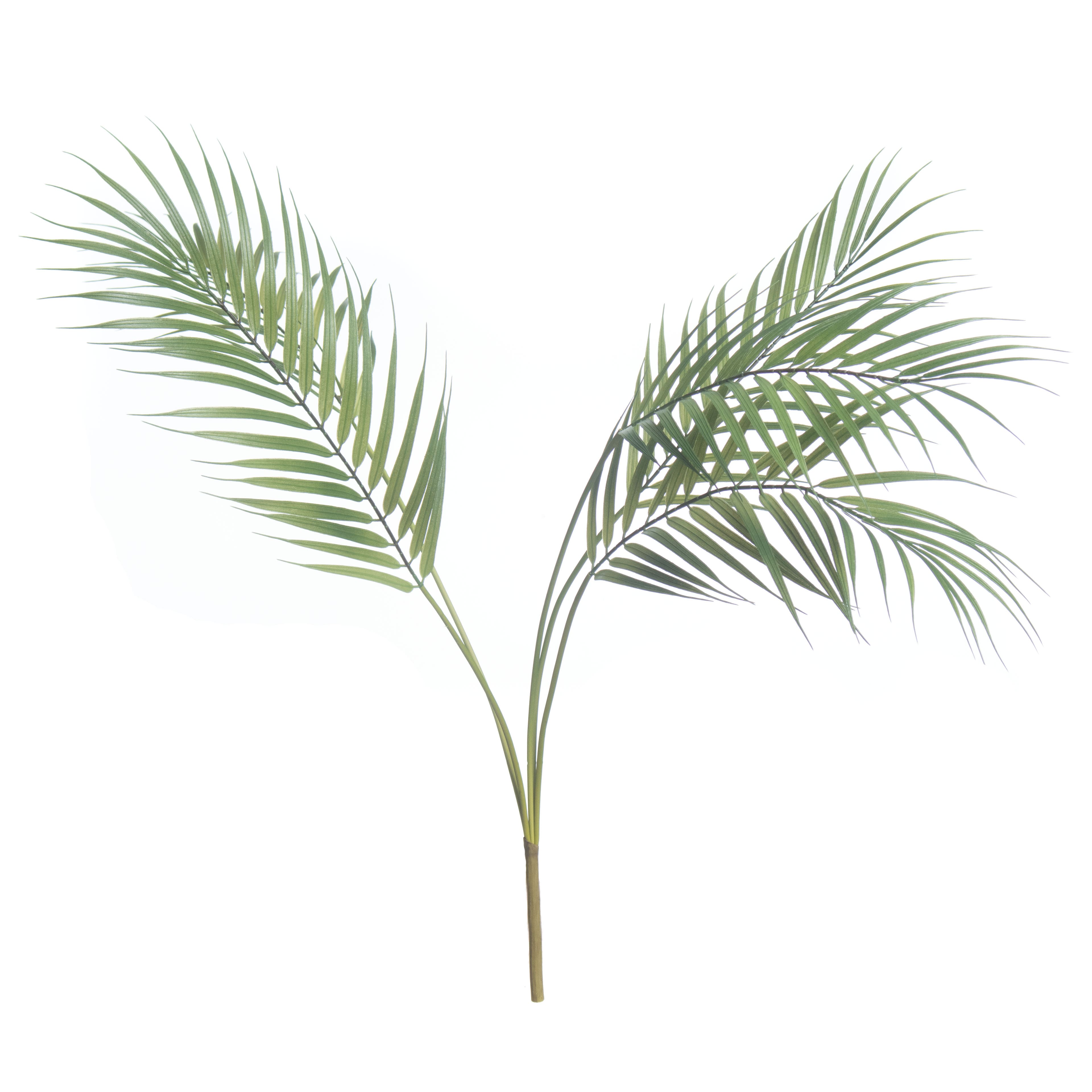 30&#x22; Palm Bush by Ashland&#xAE;