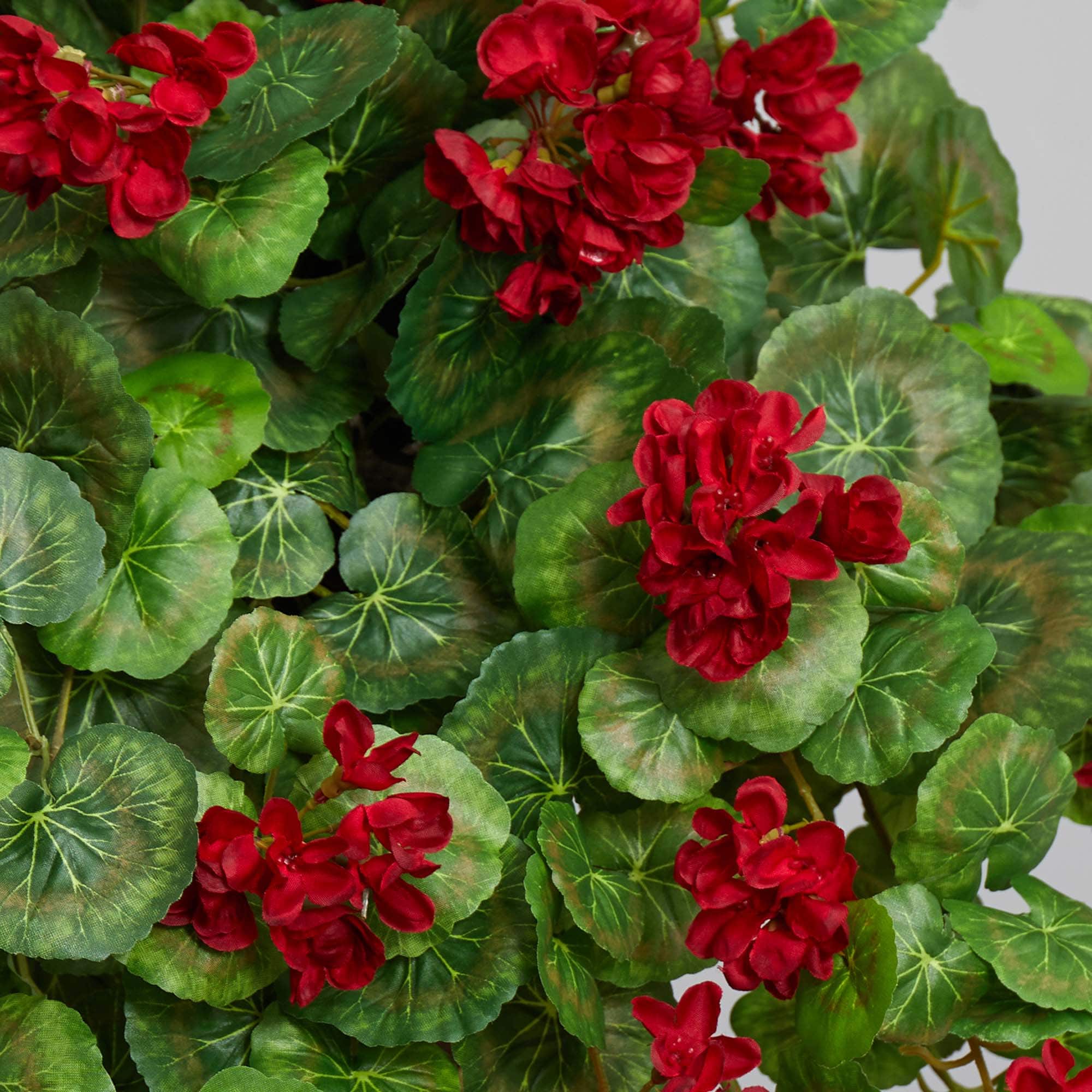 2.2ft. Red Geranium Artificial Plant in Hanging Basket