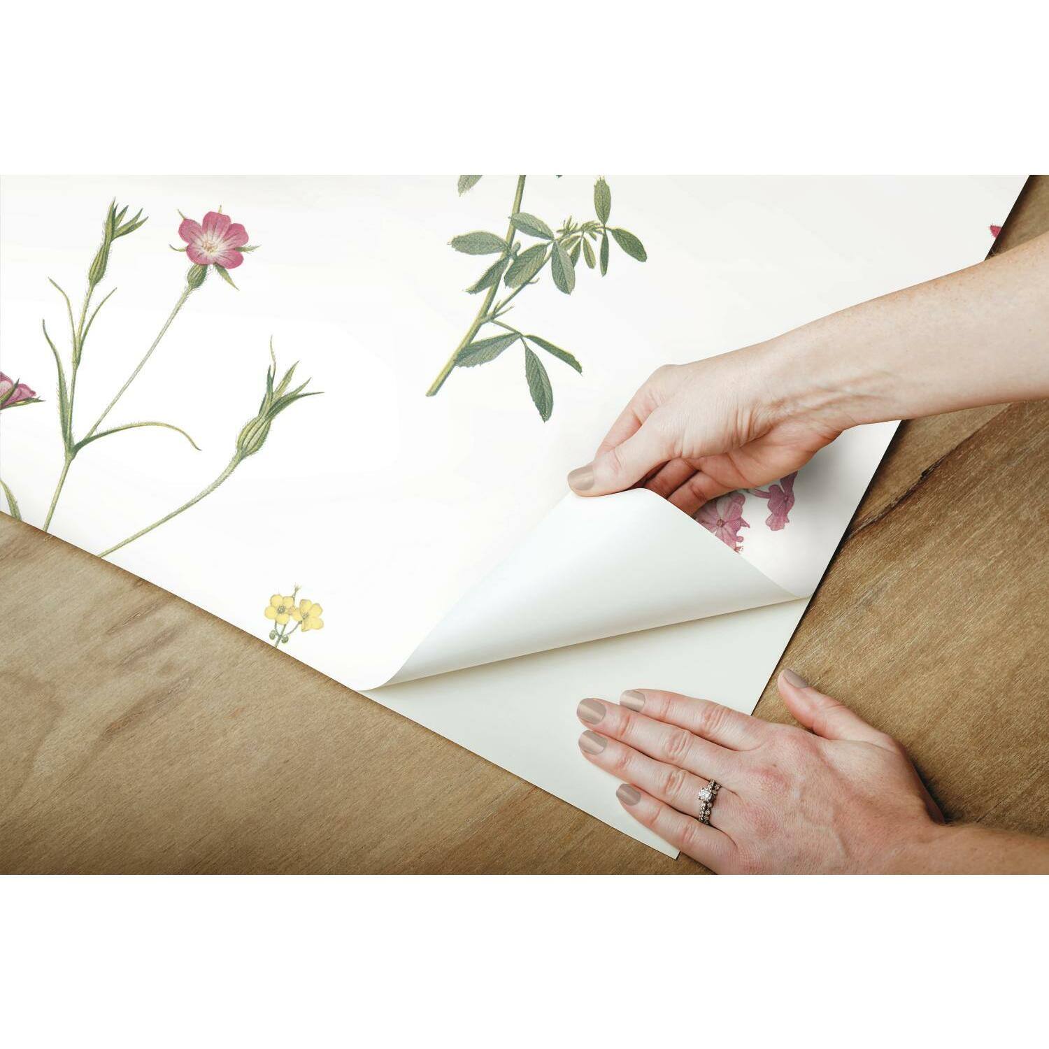 RoomMates Botanical Print Peel & Stick Wallpaper